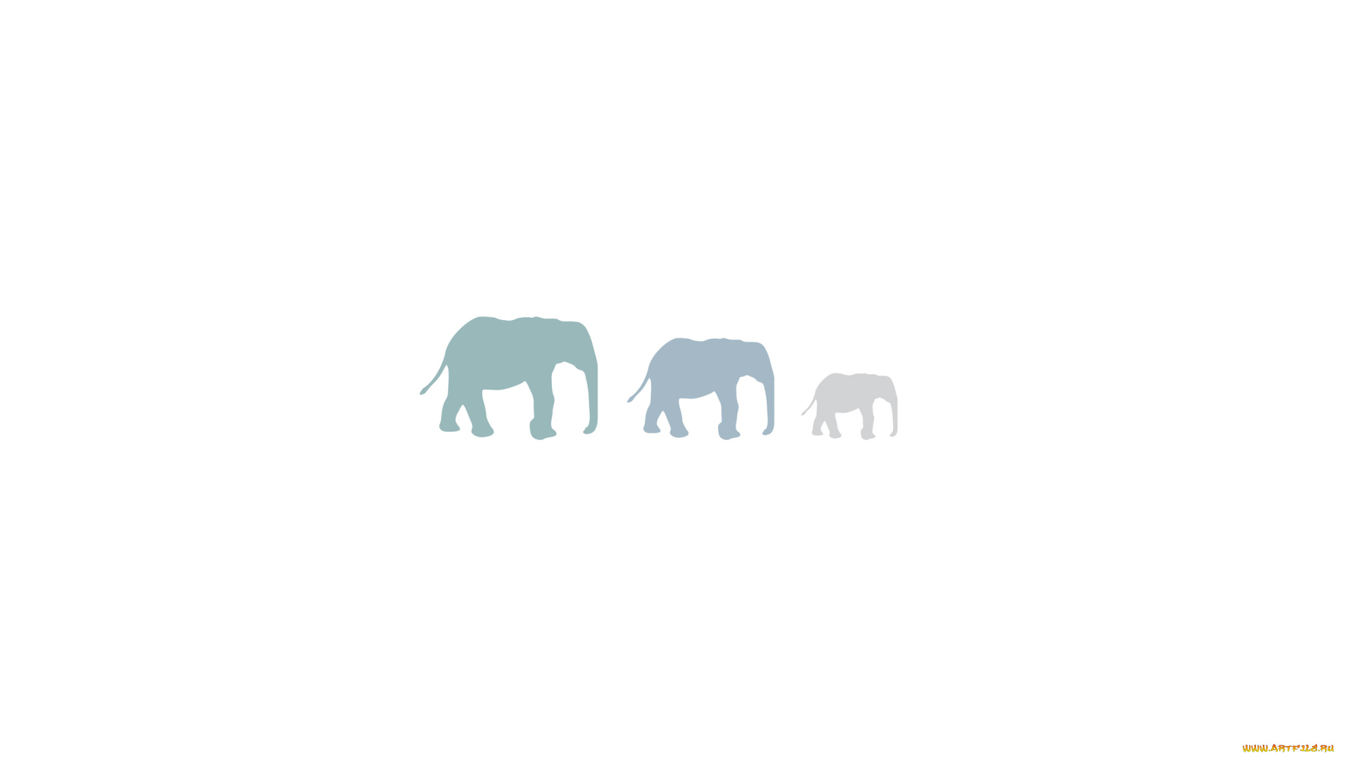 рисованное, минимализм, туман, слоны
