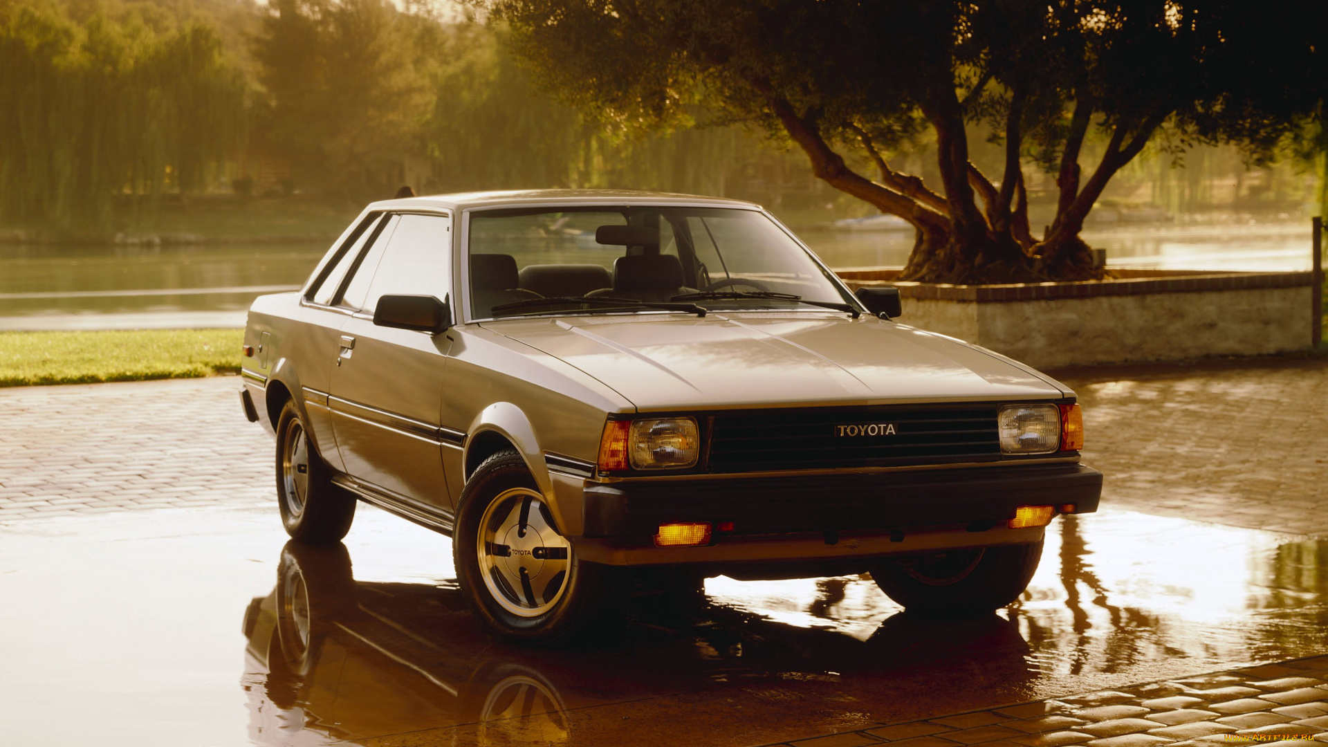 автомобили, toyota