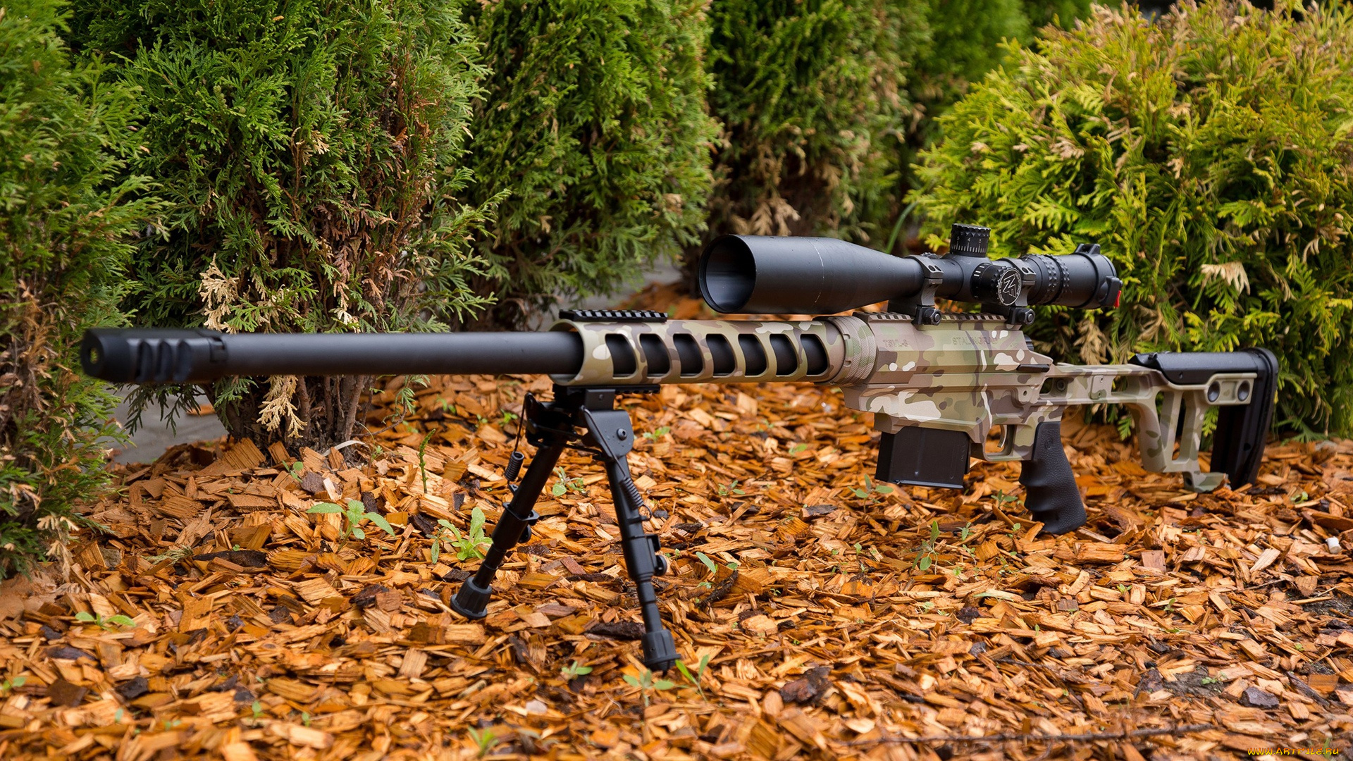 оружие, снайперская, винтовка, тсвл-8, сталинград