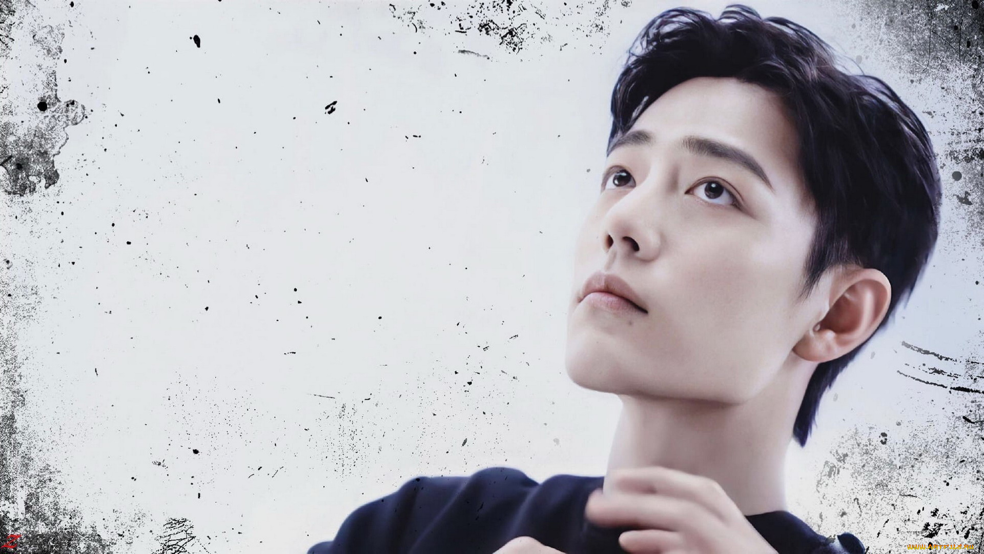 мужчины, xiao, zhan, актер, лицо