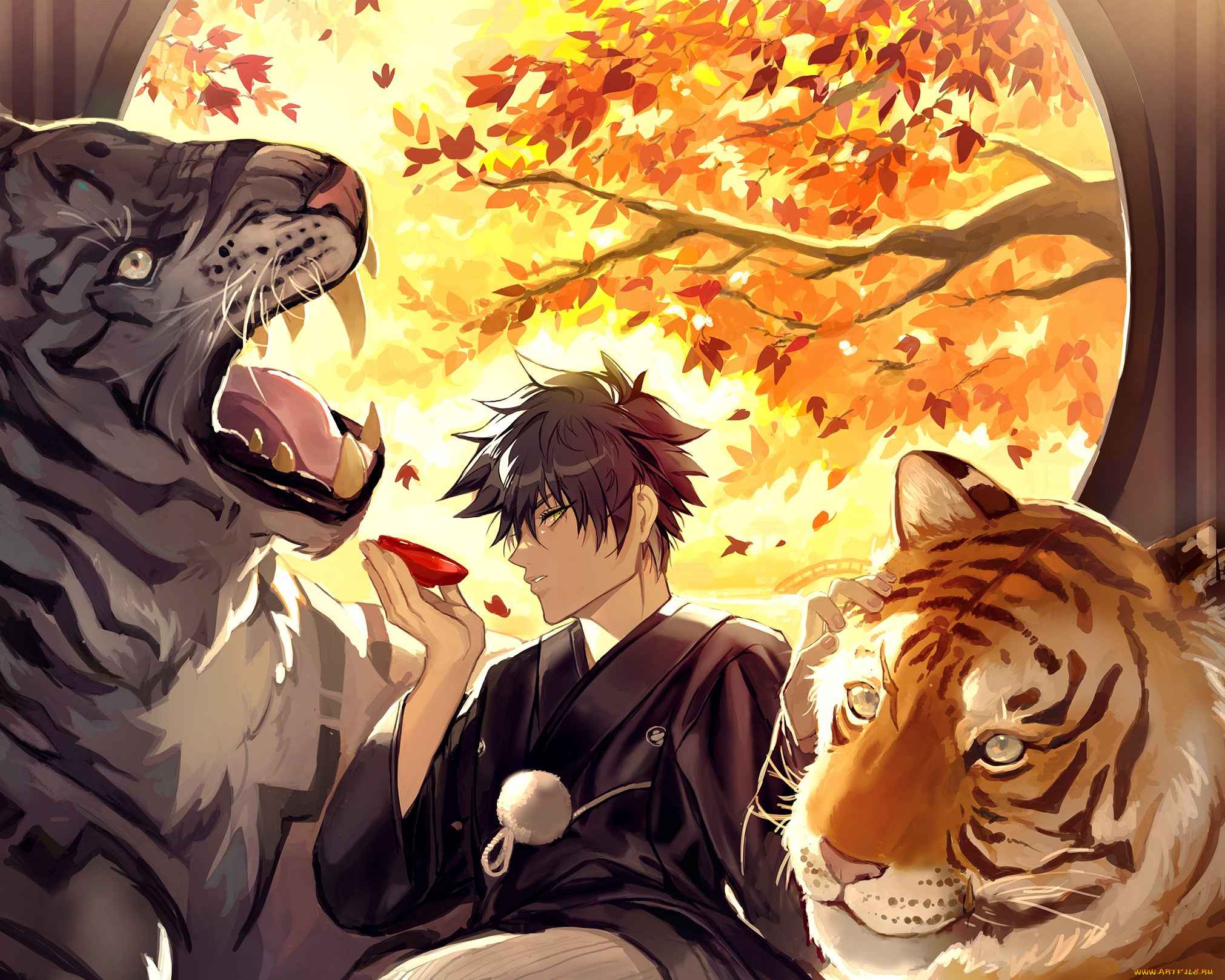 аниме, jujutsu, kaisen, jujutsu, kaisen