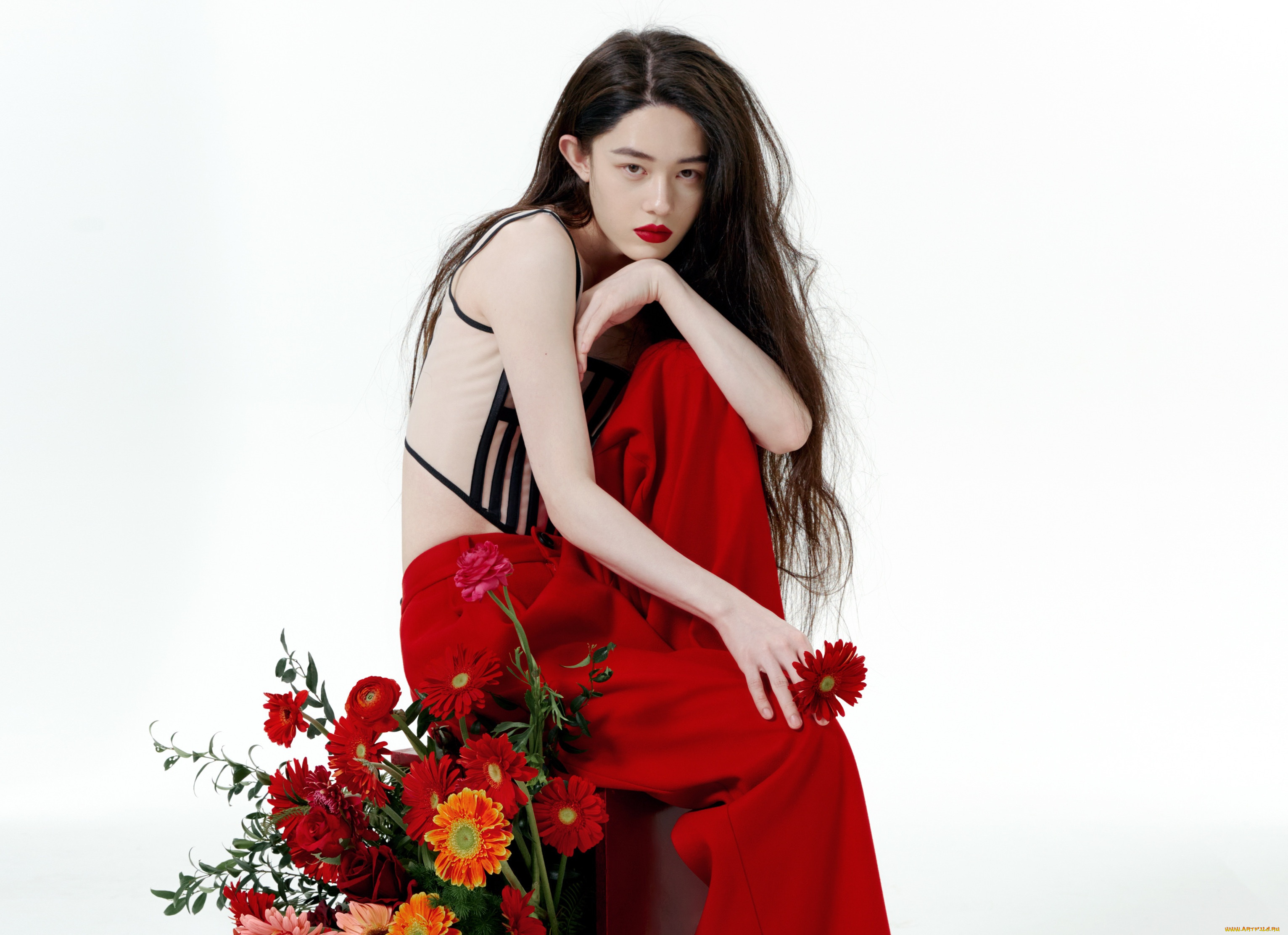 мужчины, tang, shihao, tang, shihao, тан, шиао