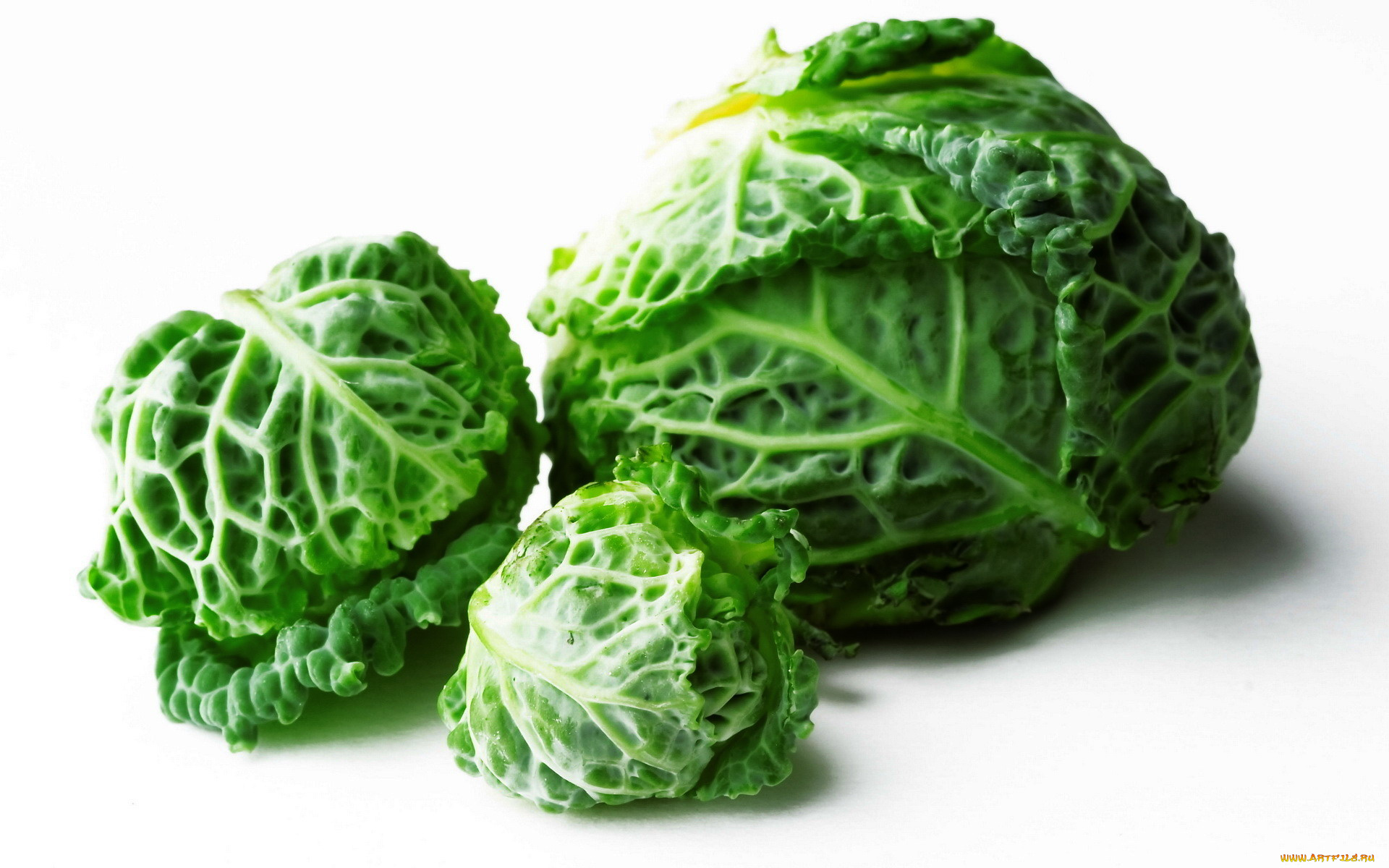 еда, капуста, и, её, разновидности, савойская, капуста, кочаны