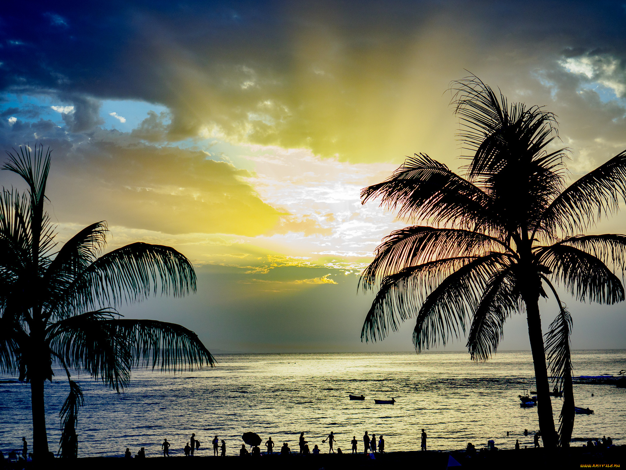 природа, тропики