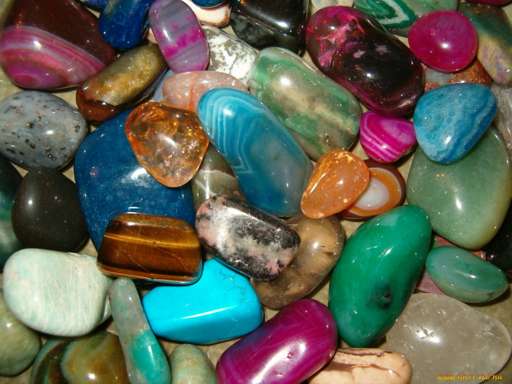 разное, ракушки, кораллы, декоративные, spa, камни