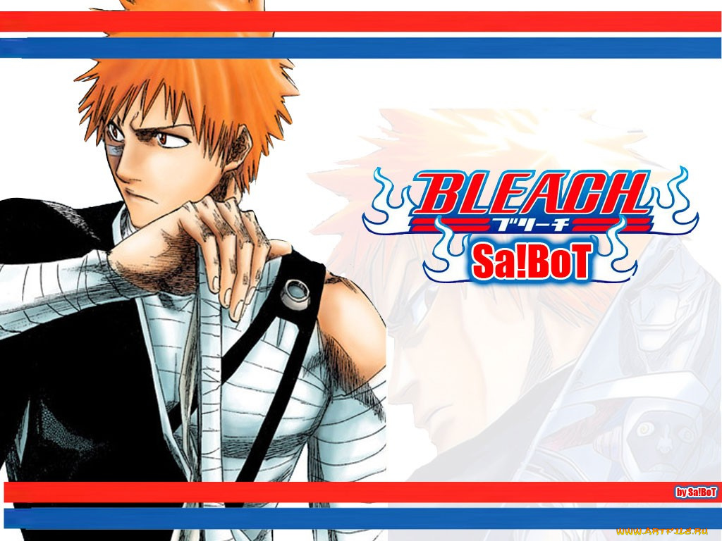 аниме, bleach