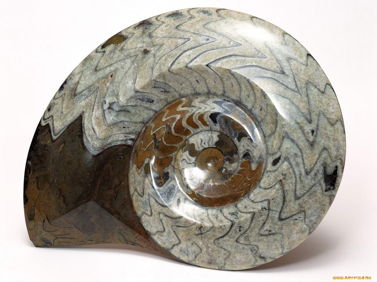 разное, ракушки, кораллы, декоративные, spa, камни