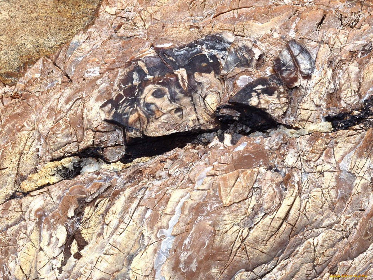 разное, текстуры