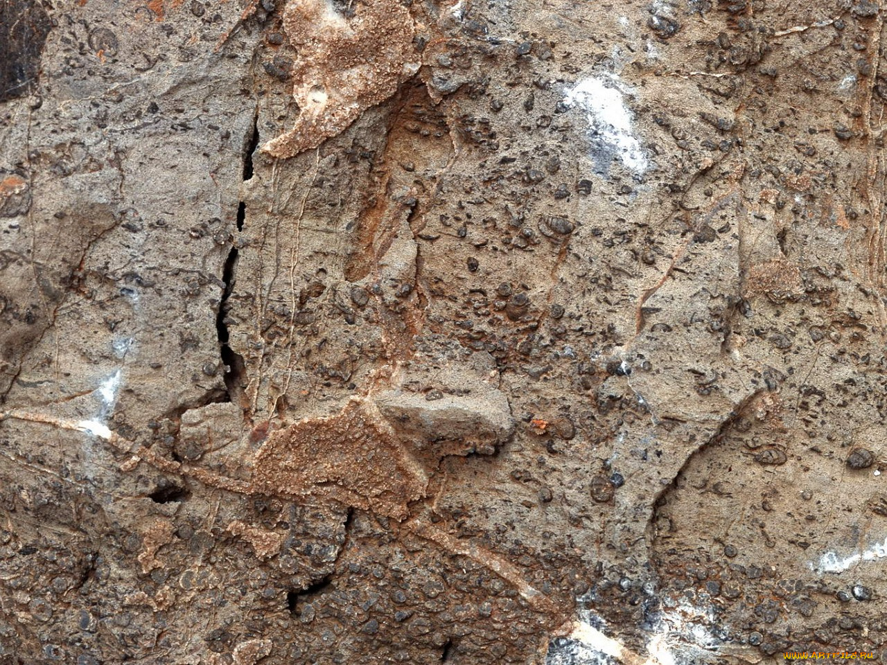 разное, текстуры