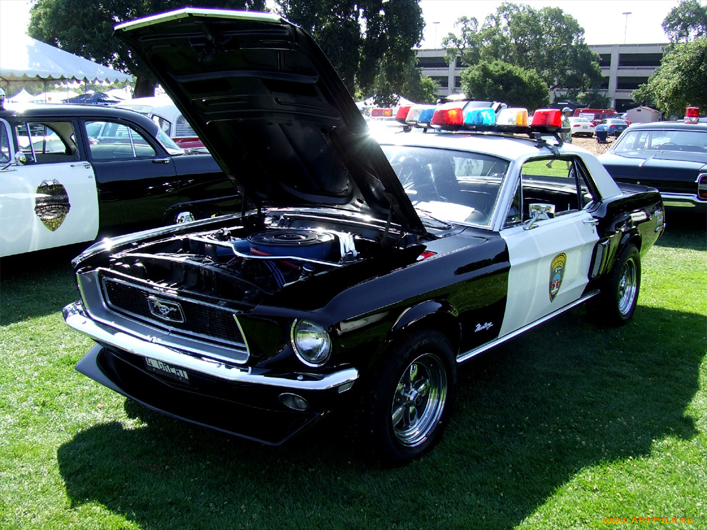 автомобили, полиция