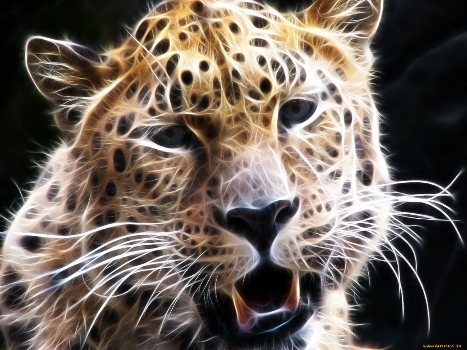 3д, графика, animals, животные