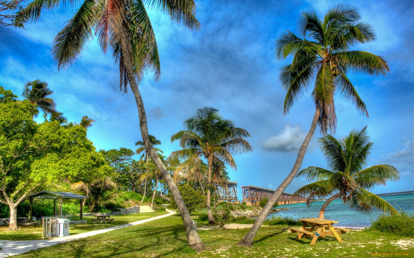 природа, тропики