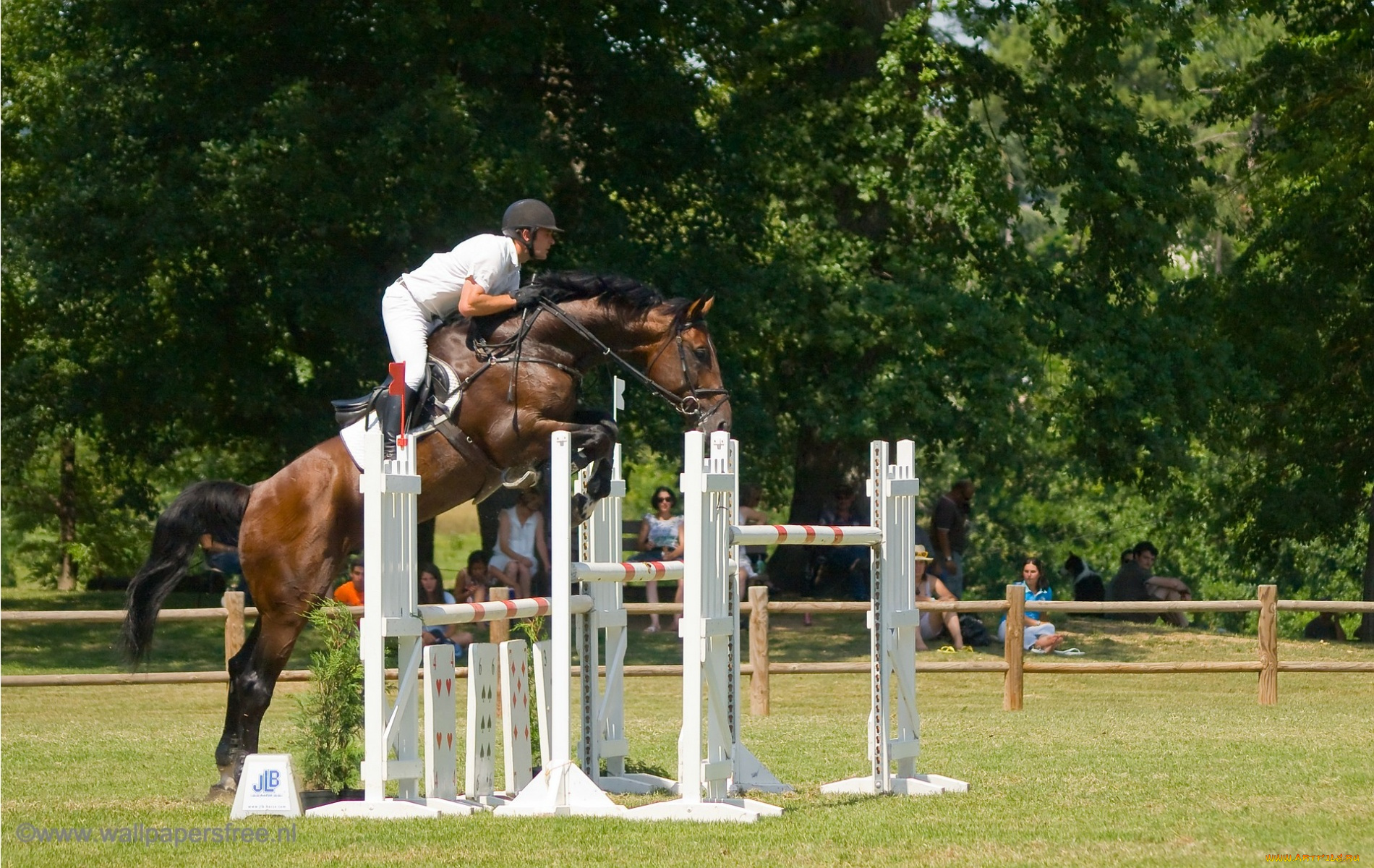 спорт, конный, препятствия, прижок, лошадь