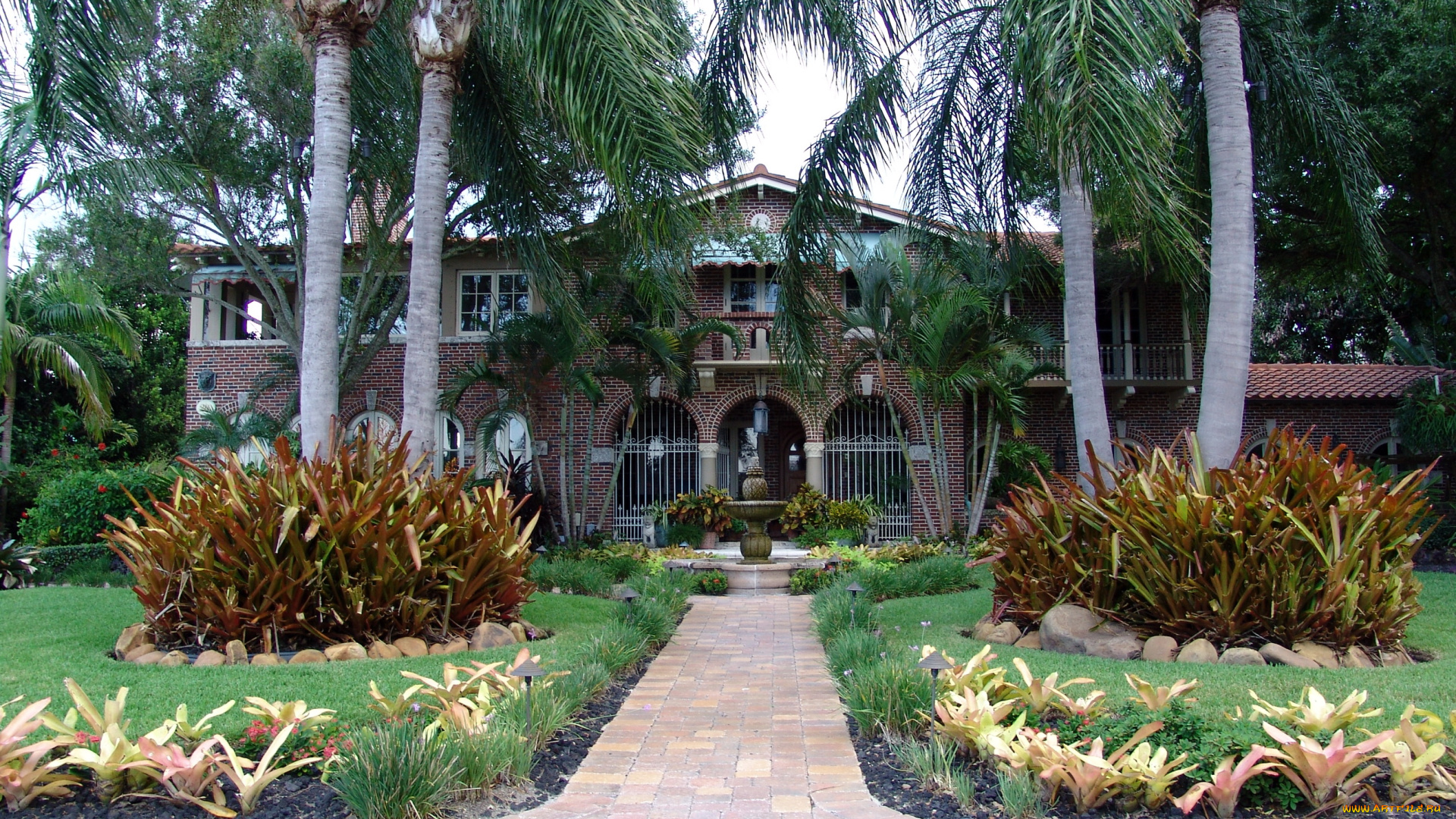 флорида, сент, питерсберг, города, здания, дома, сад, ландшафт, дом