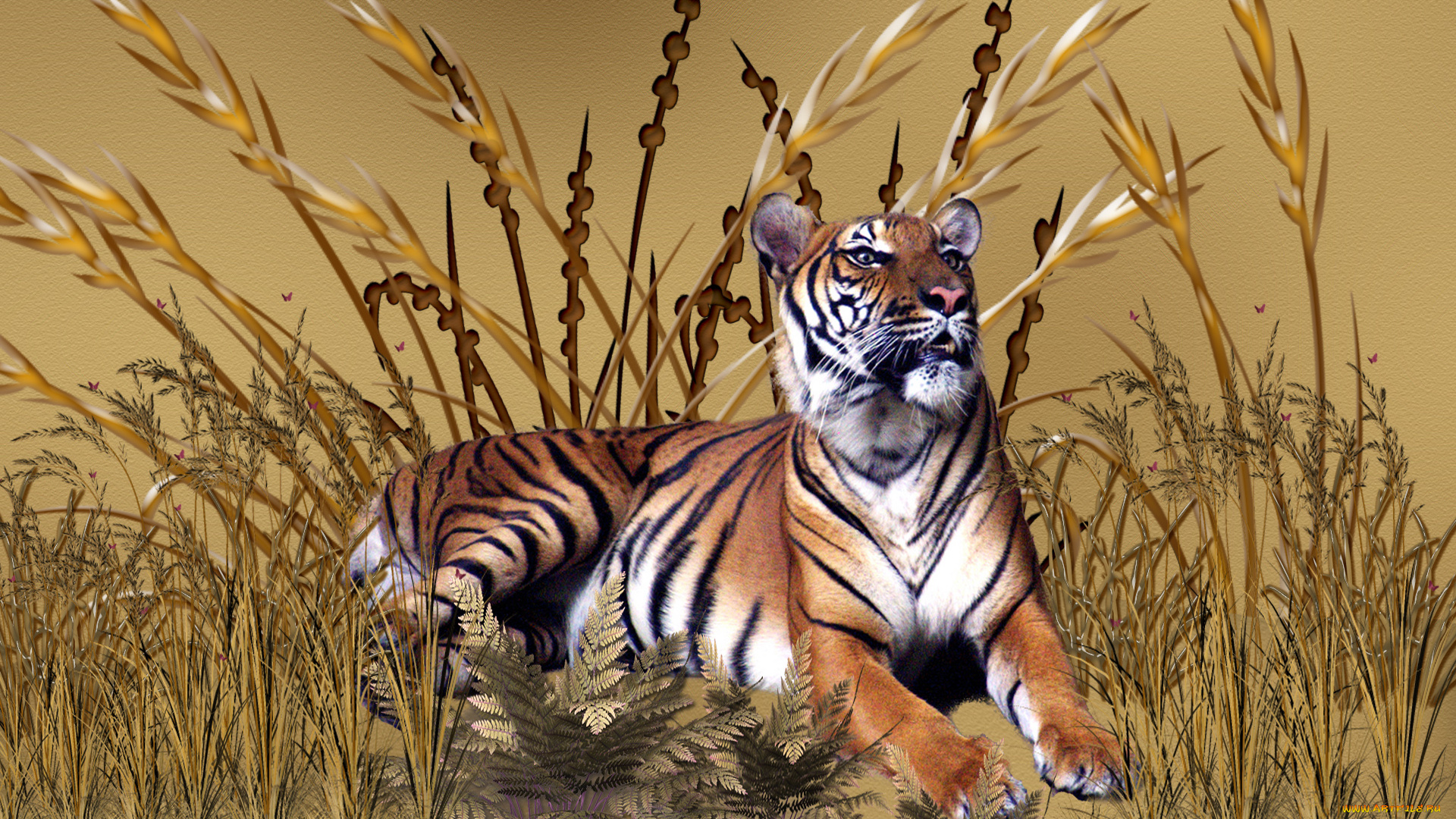 golden, tiger, 3д, графика, animals, животные, трава, тигр, степь