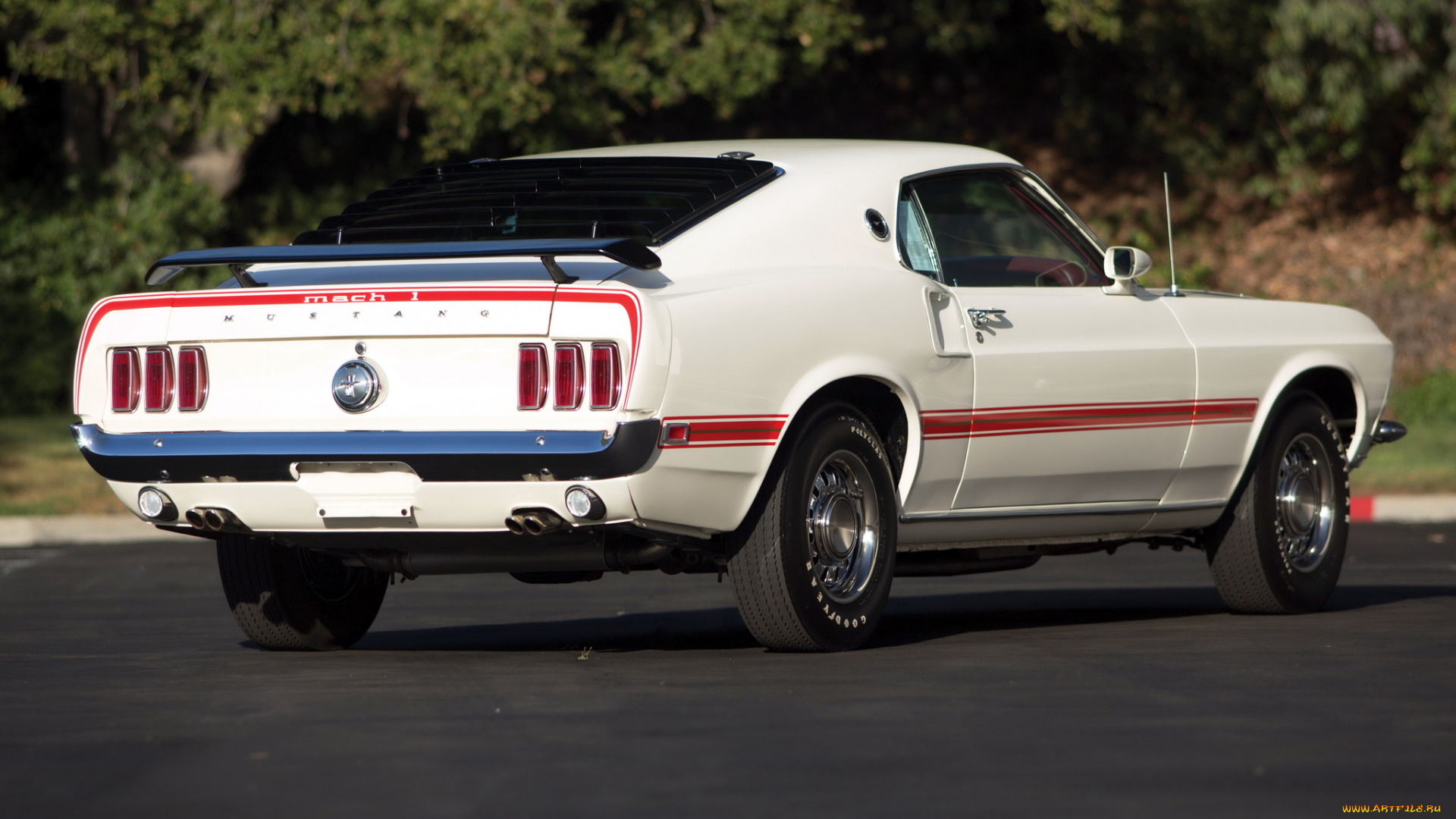 автомобили, mustang