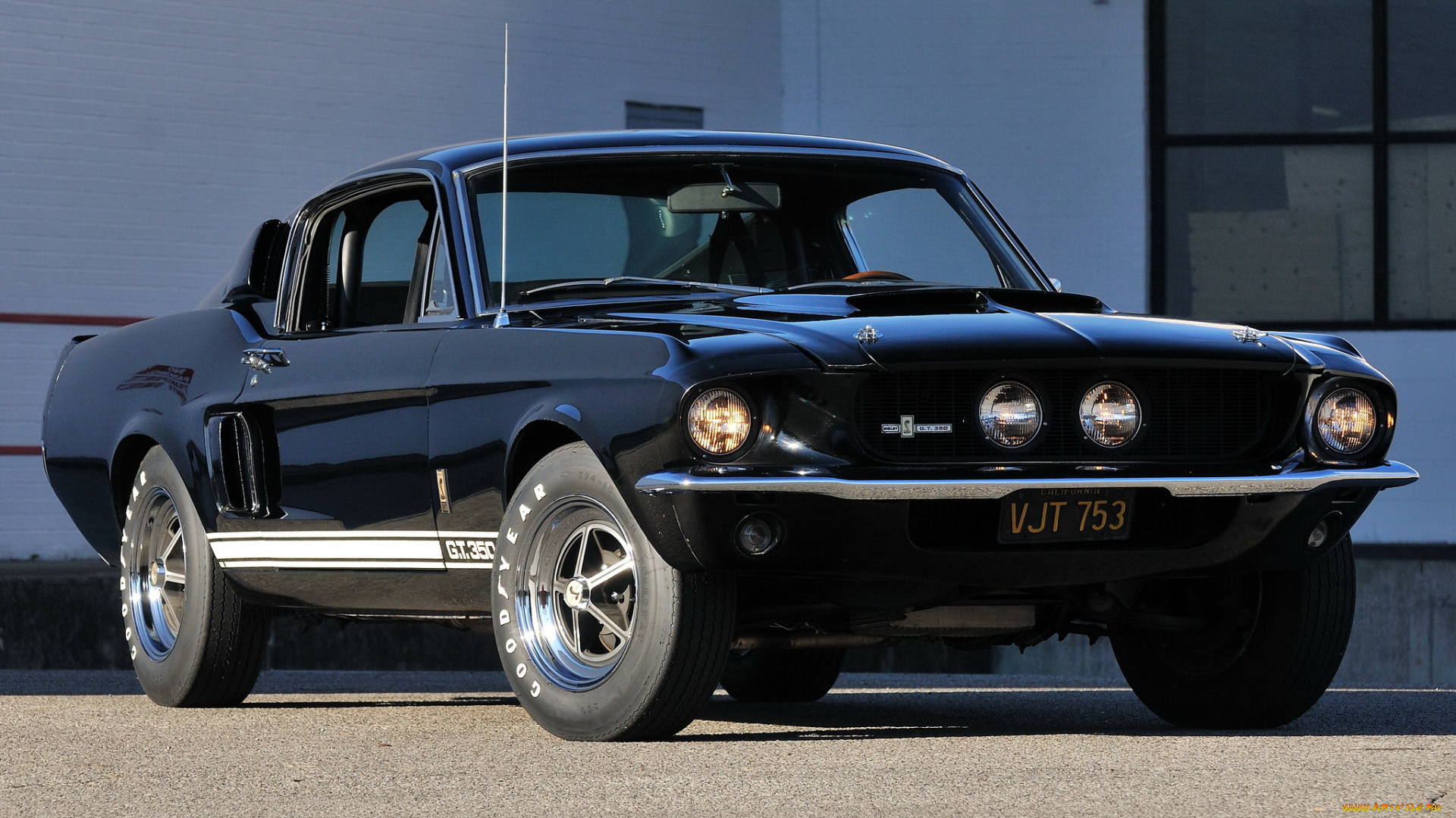 автомобили, mustang, gt350, shelby