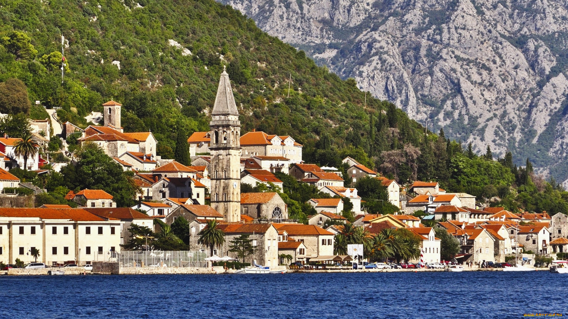 котор, , Черногория, города, -, пейзажи, вода, горы, дома