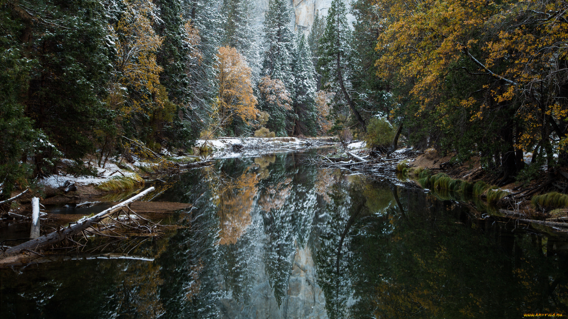 природа, реки, озера, лес, река