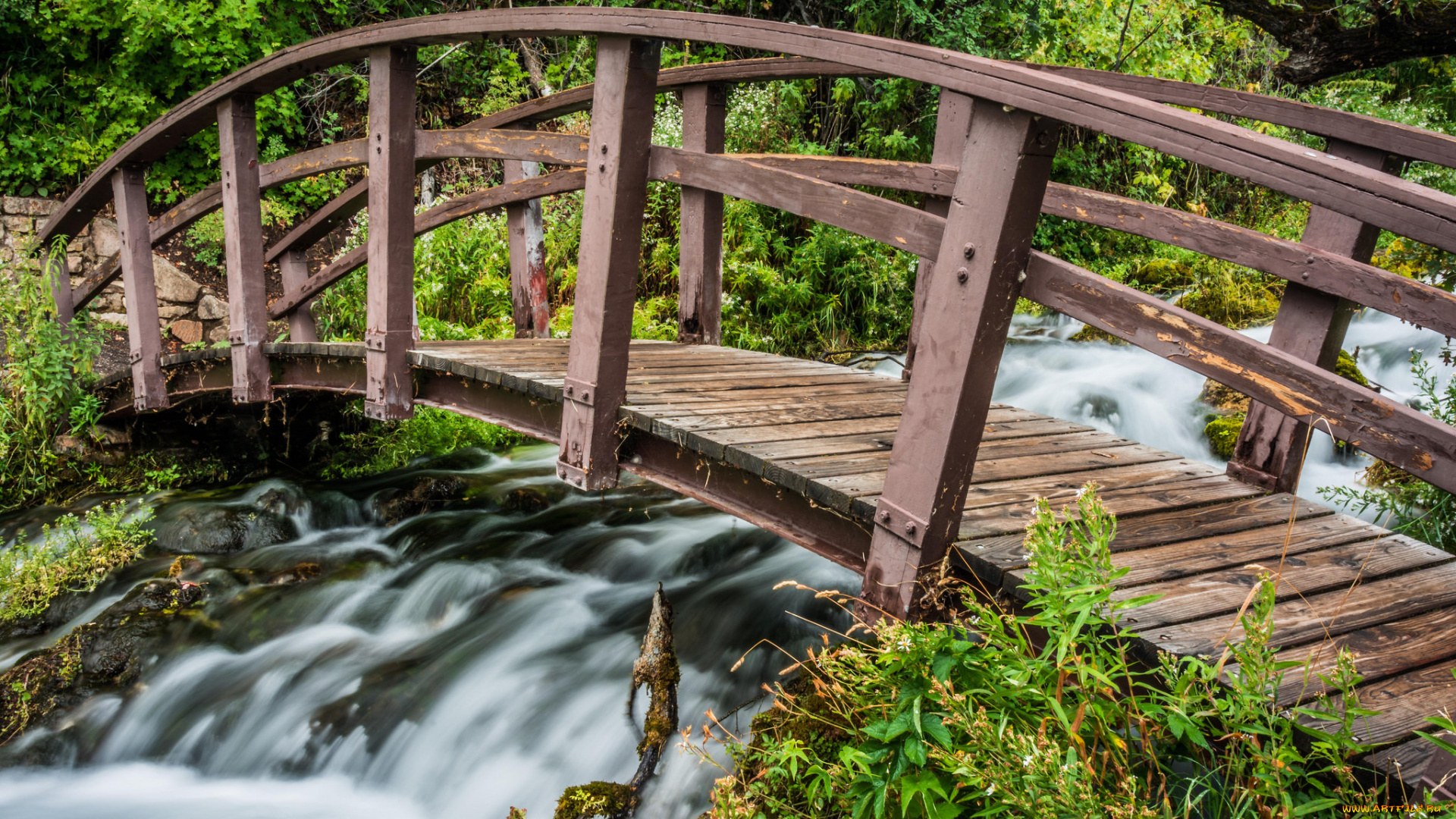 природа, реки, озера, река, мостик