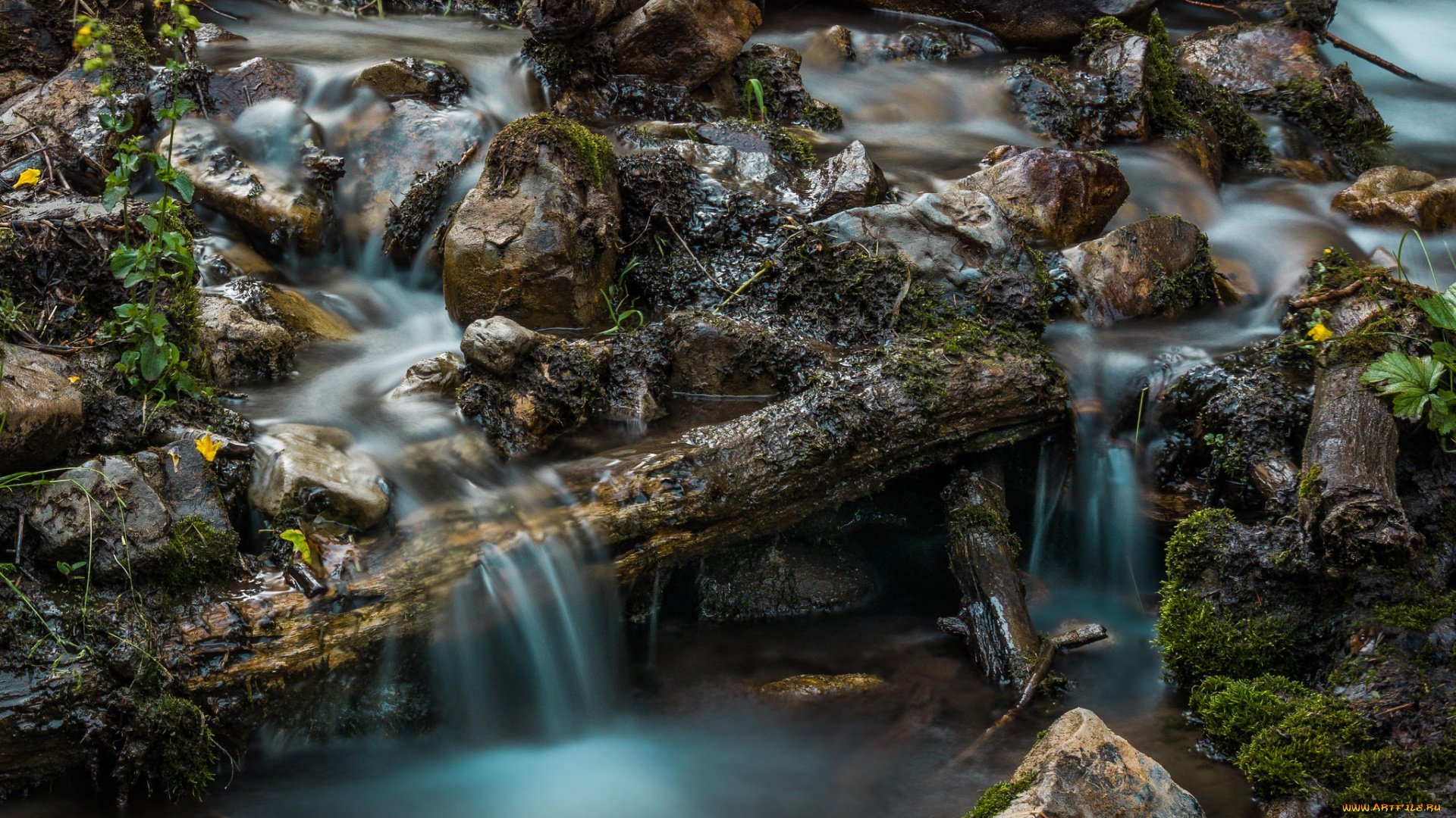 природа, реки, озера, ручей, камни