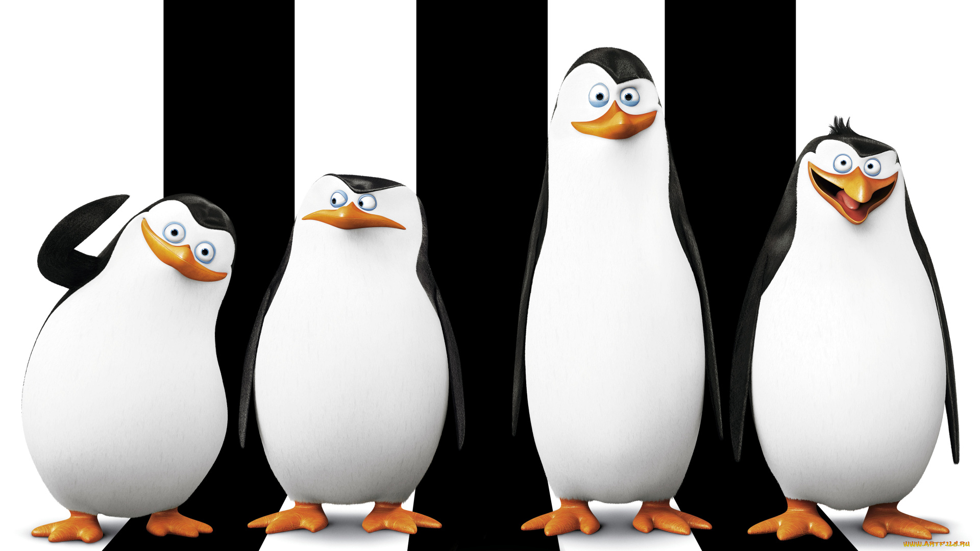the, penguins, of, madagascar, мультфильмы, пингвины, мадагаскара