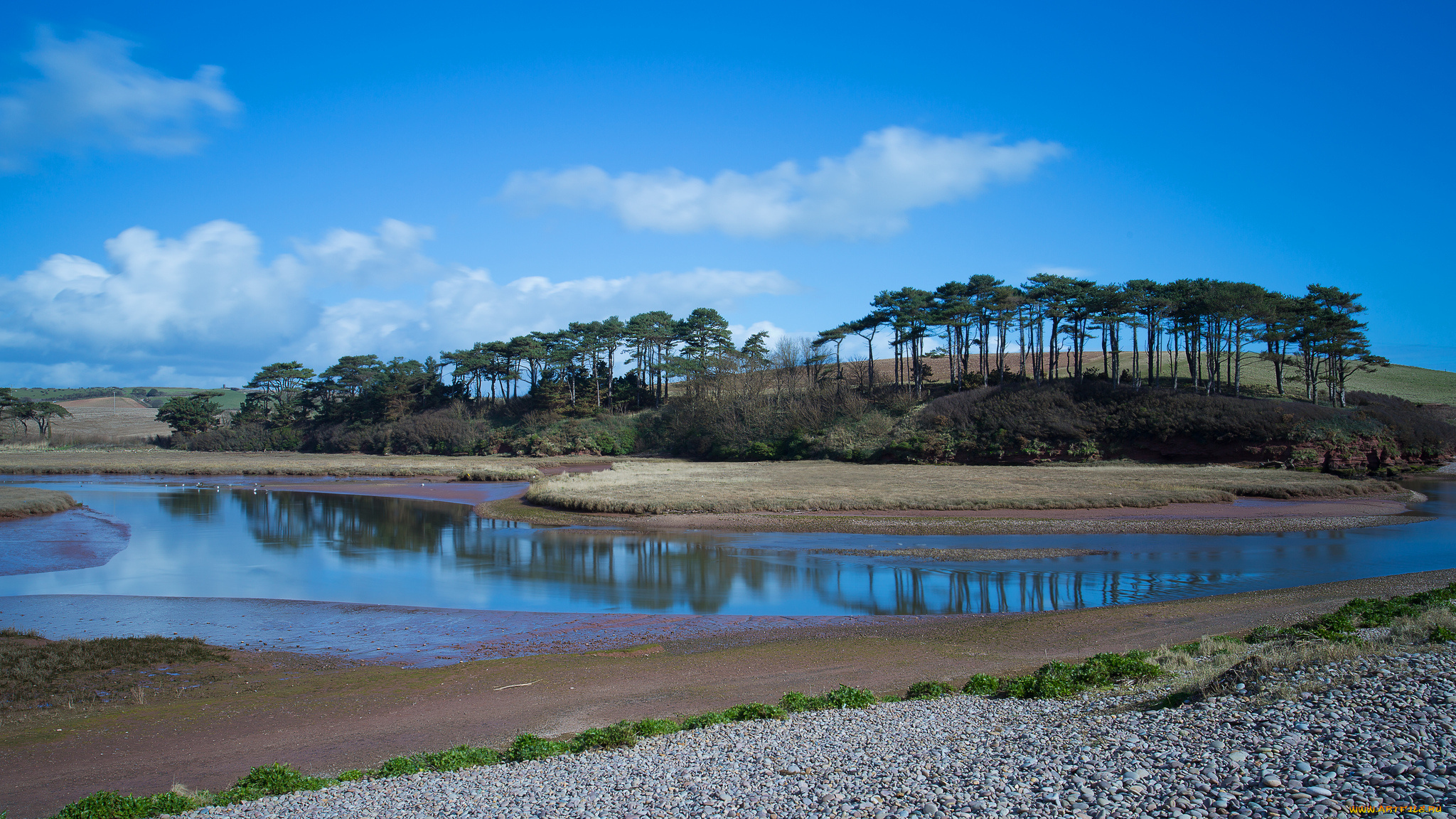 природа, реки, озера, река, пляж, галька, роща