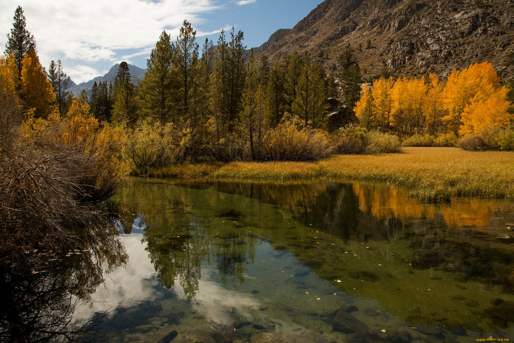 природа, реки, озера, лес, река