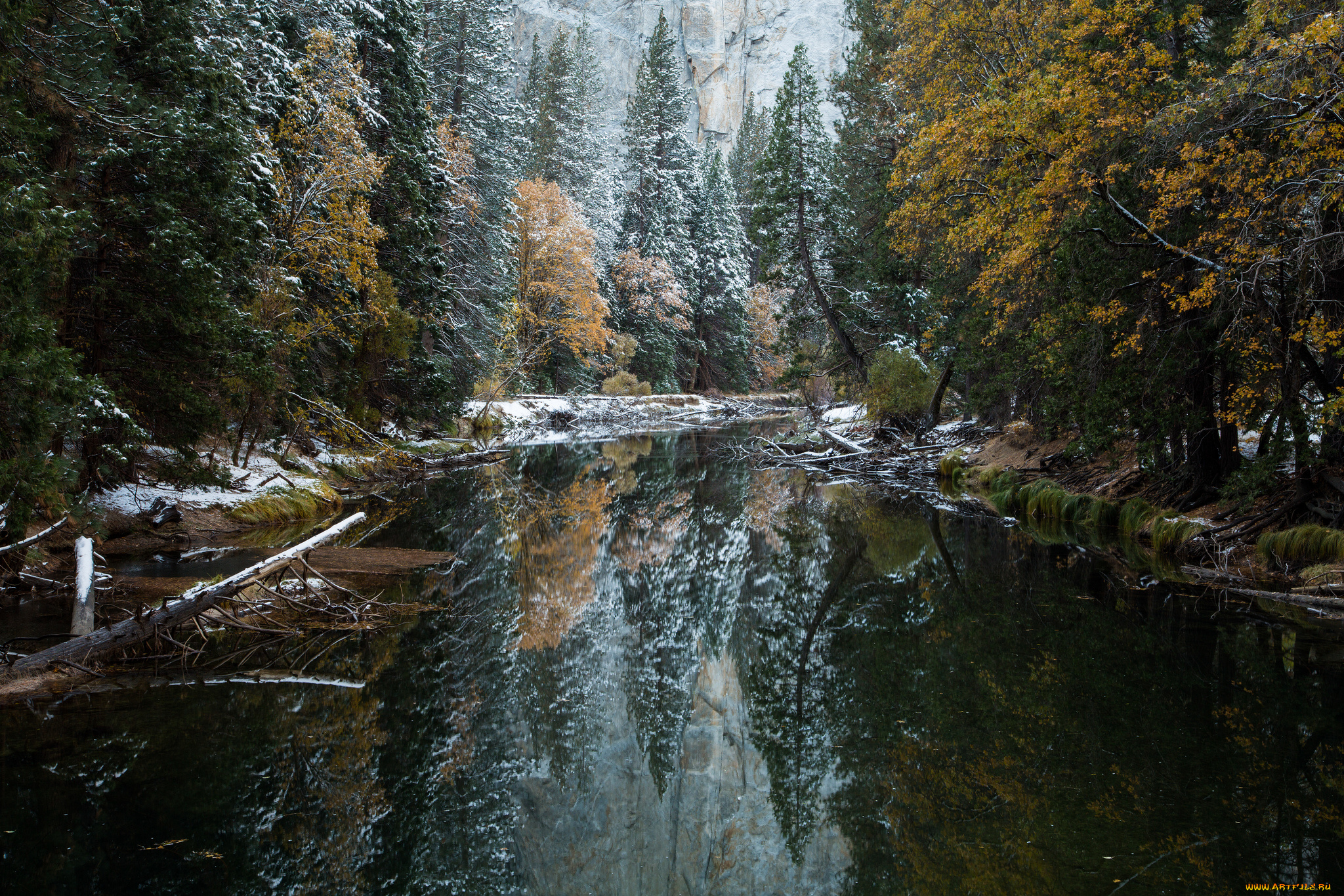 природа, реки, озера, лес, река