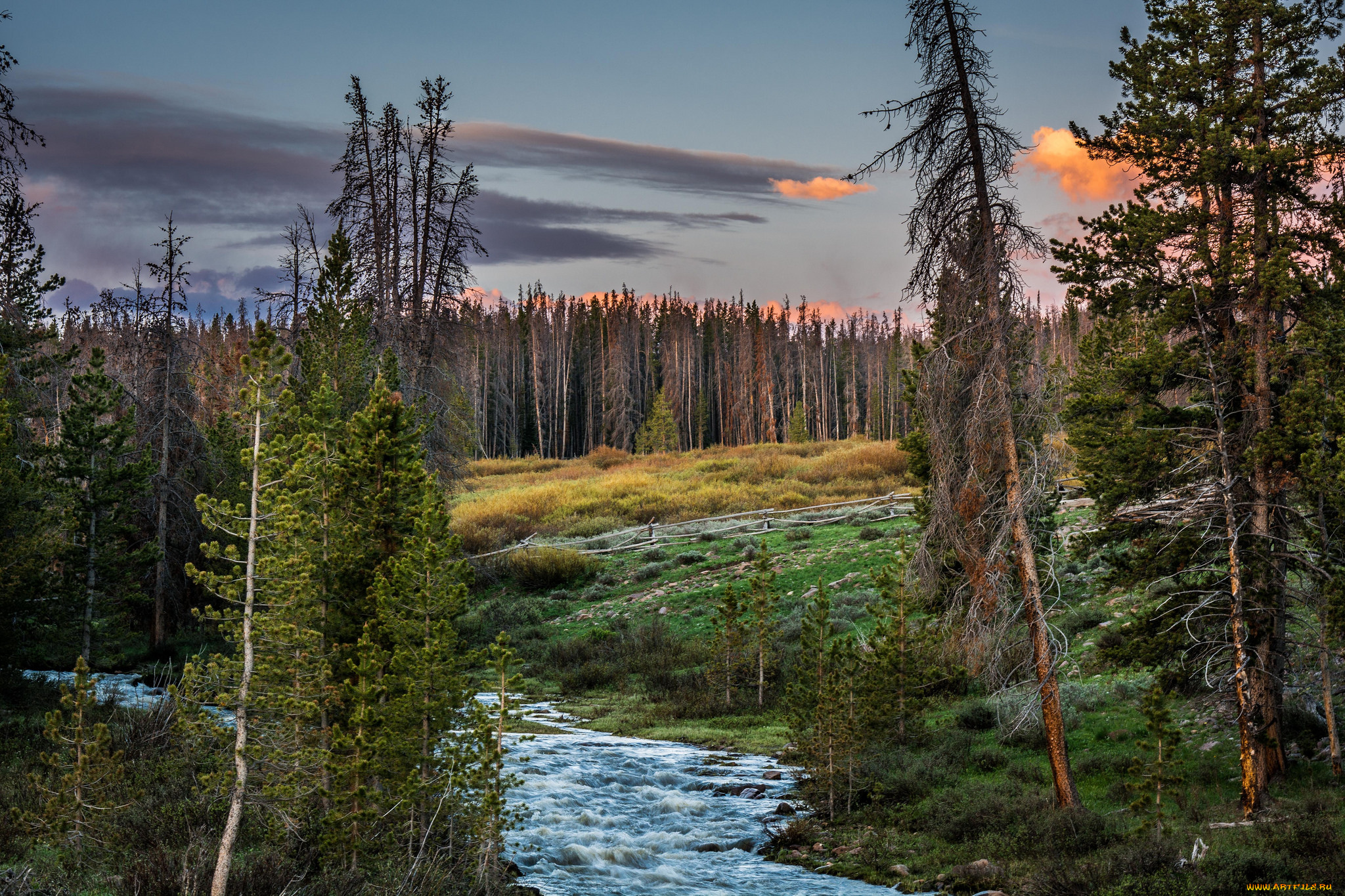 природа, реки, озера, лес, река