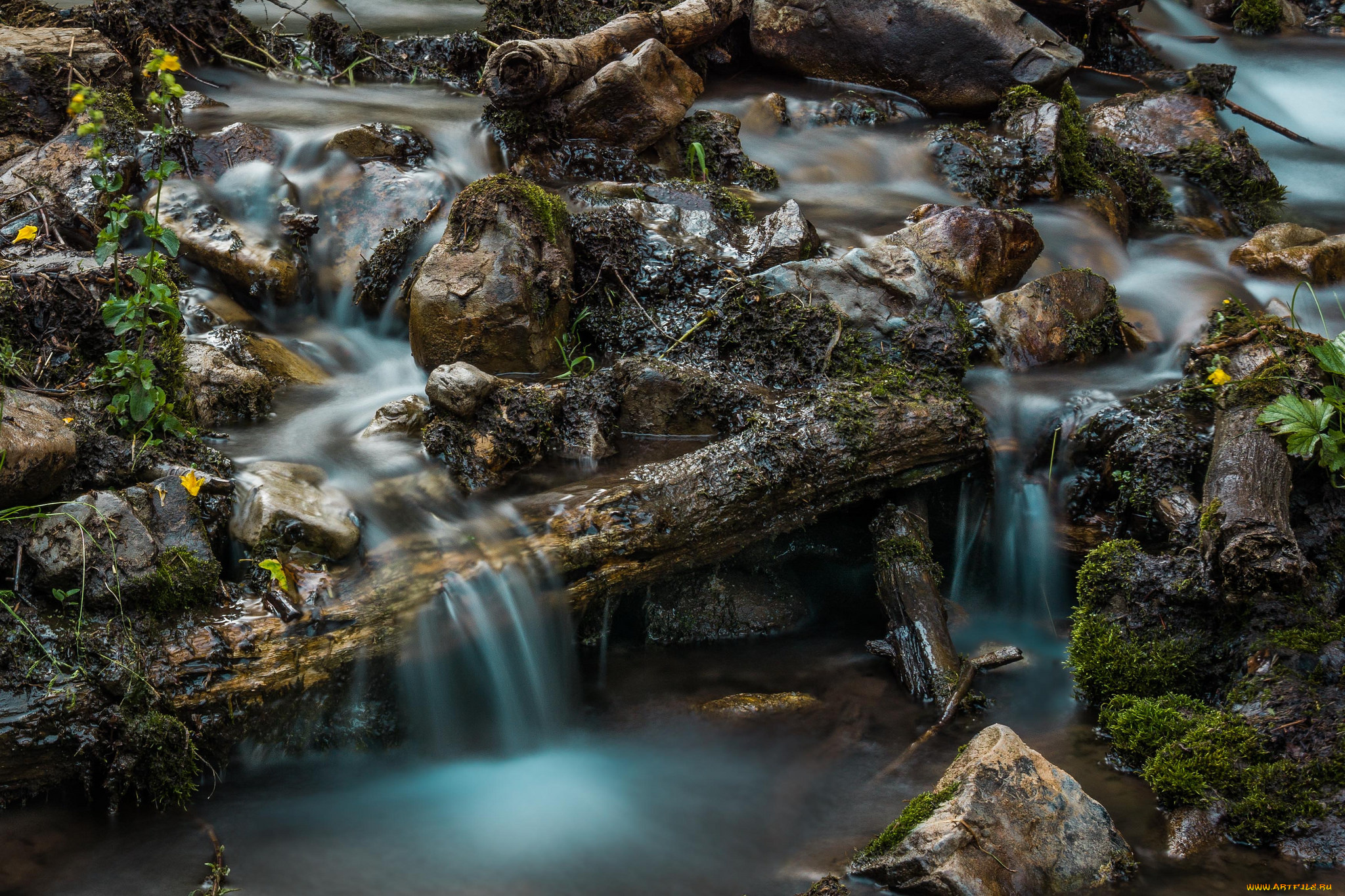 природа, реки, озера, ручей, камни