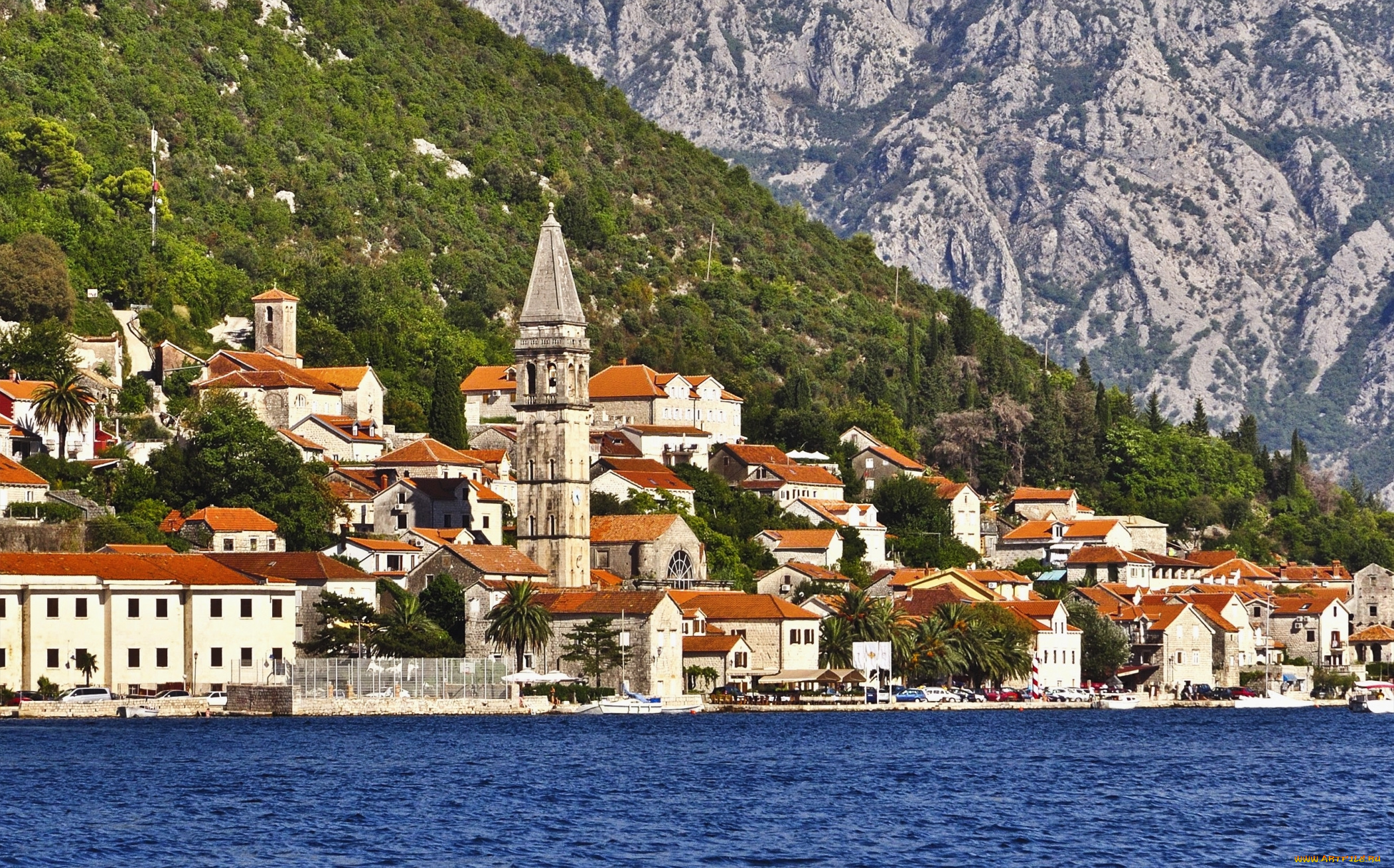 котор, , Черногория, города, -, пейзажи, вода, горы, дома