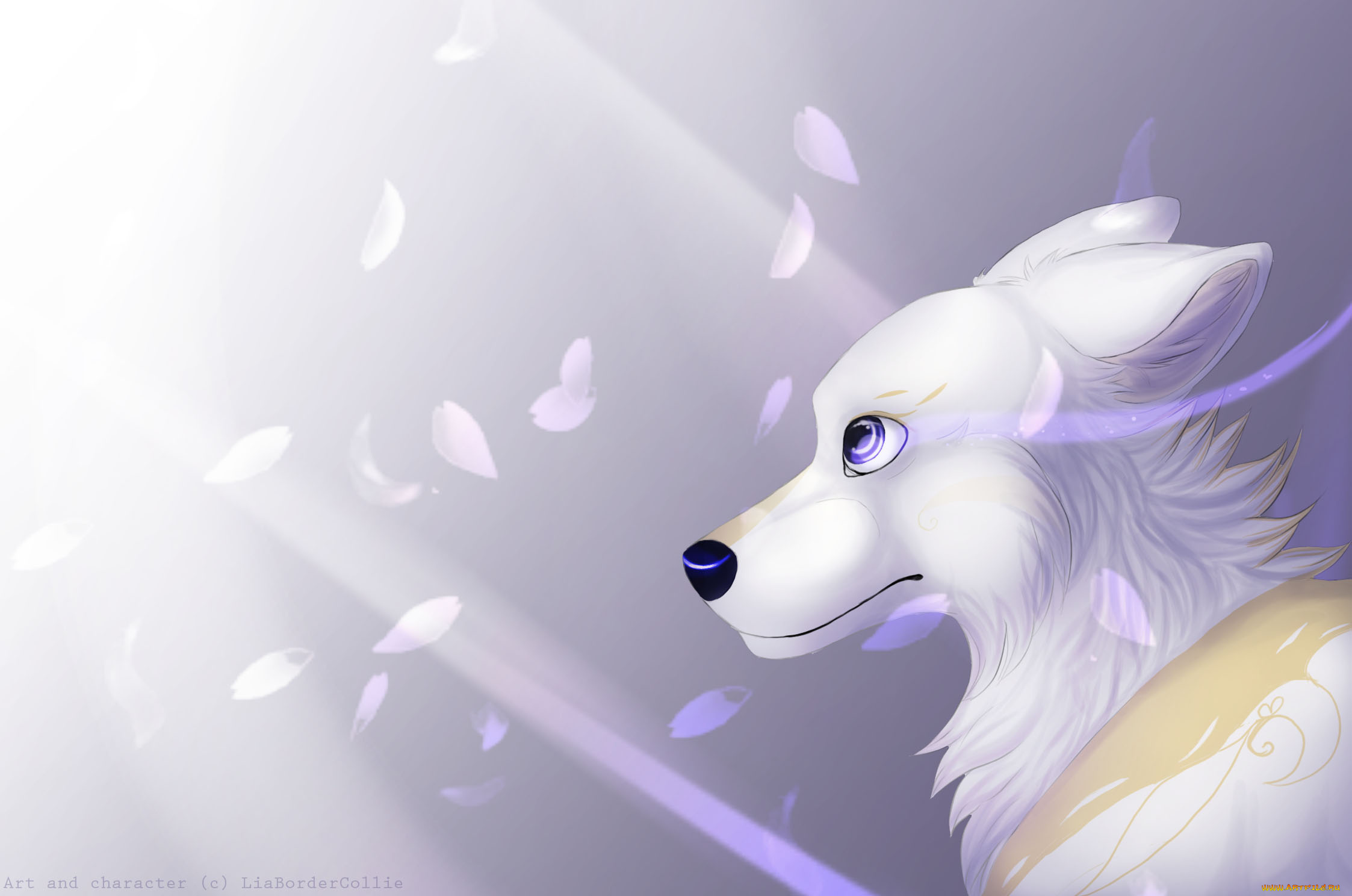 рисованные, животные, , собаки, собака