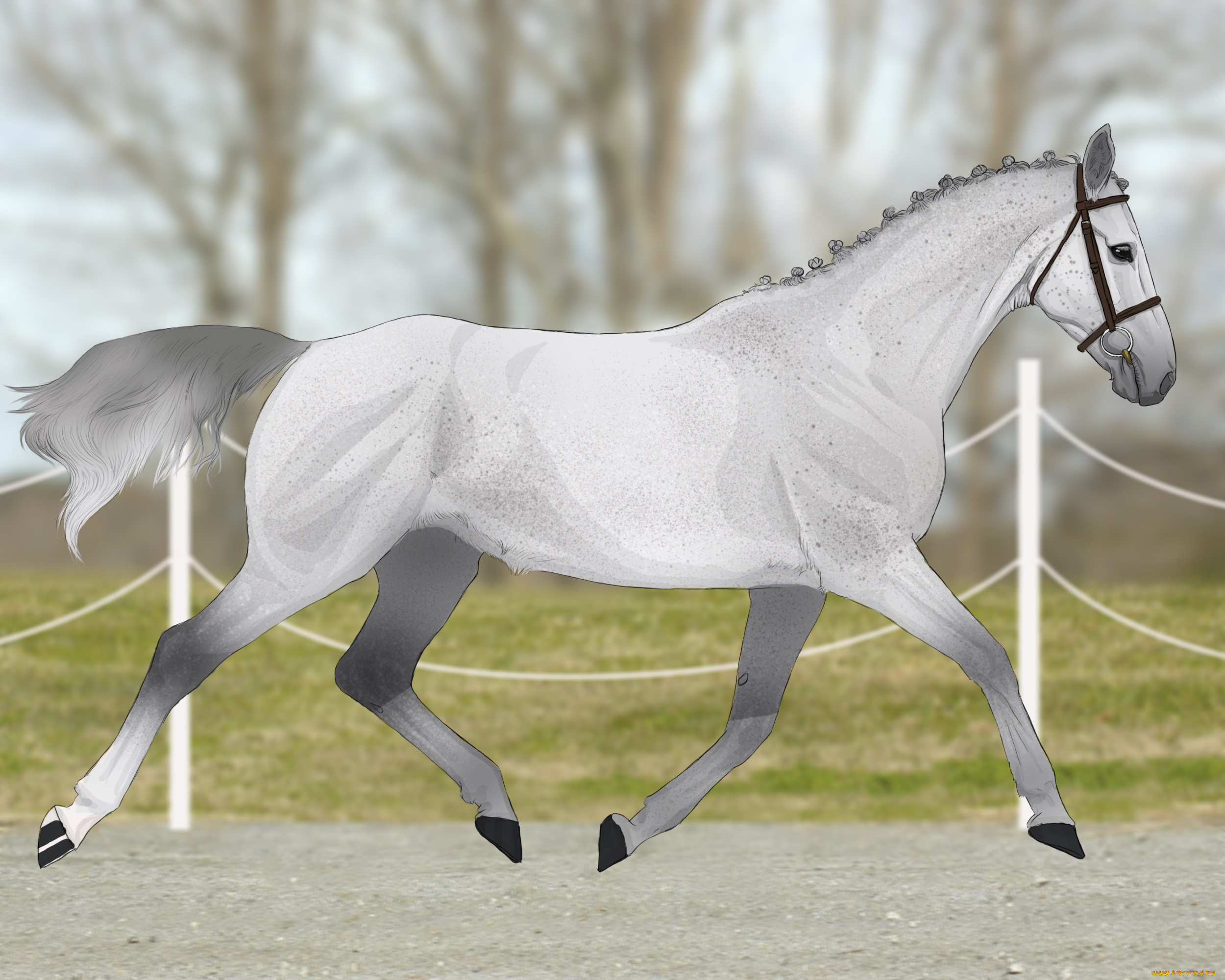 рисованные, животные, , лошади, лошадь