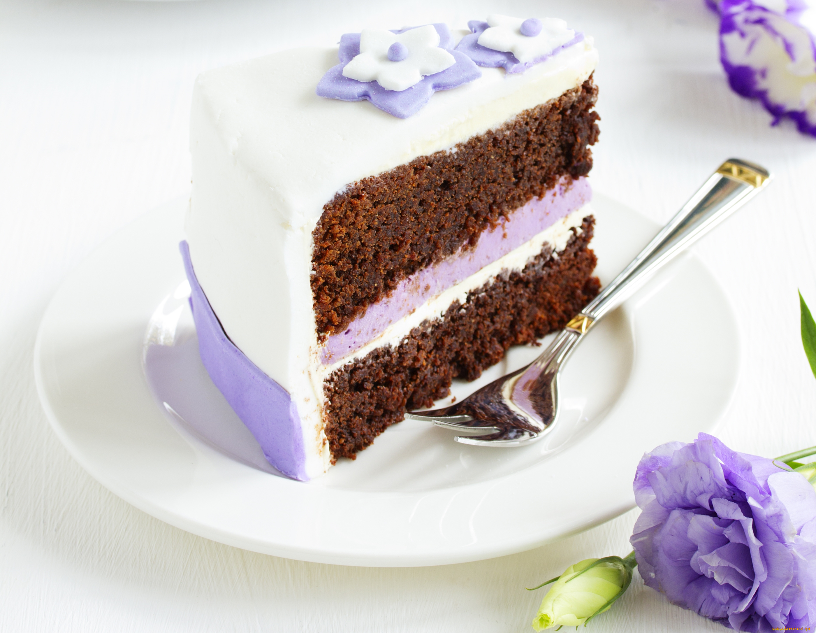 еда, торты, кусок