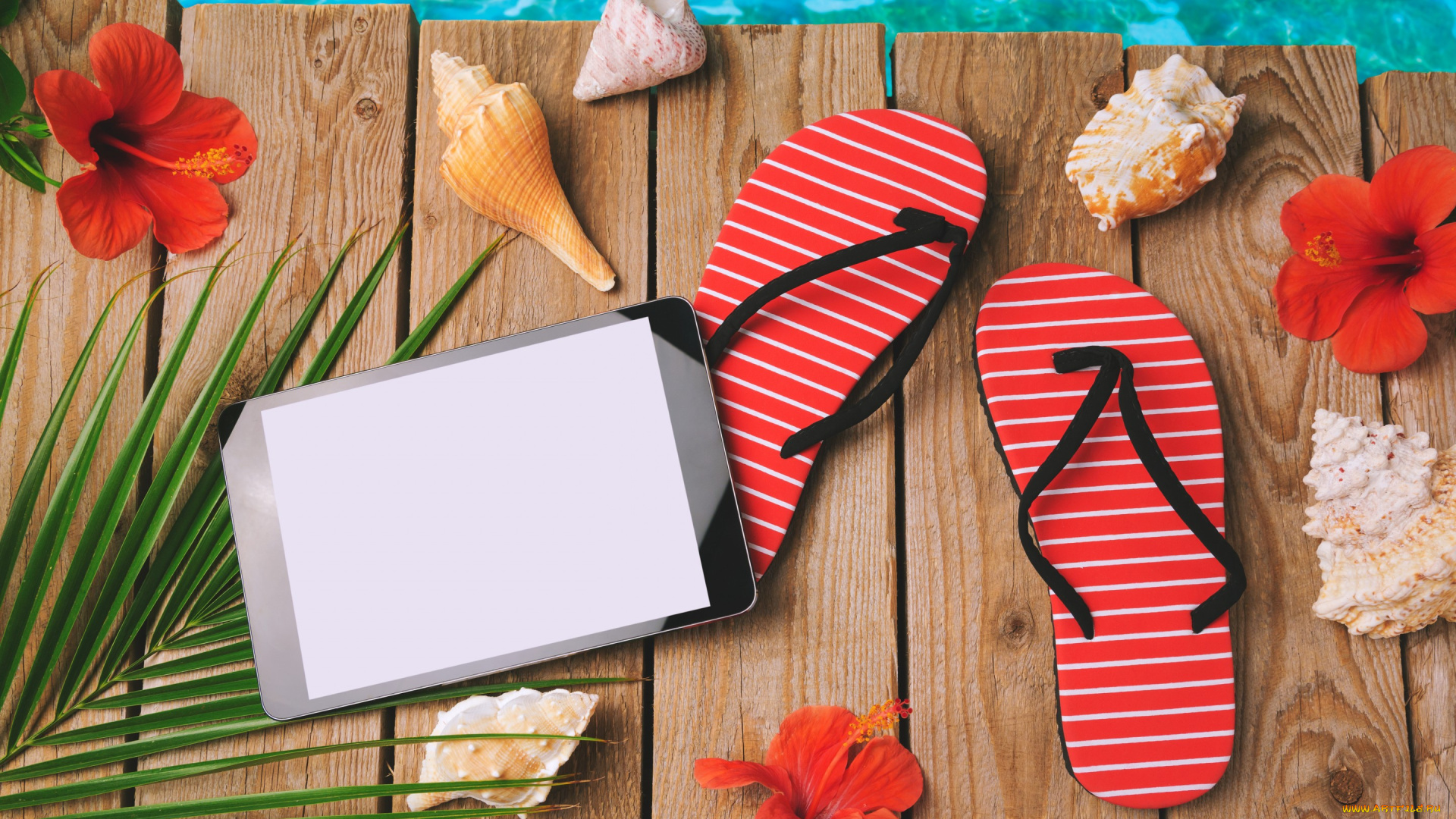 разное, одежда, , обувь, , текстиль, , экипировка, пляж, accessories, seashells, отдых, каникулы, сланцы, лето, beach, summer, vacation