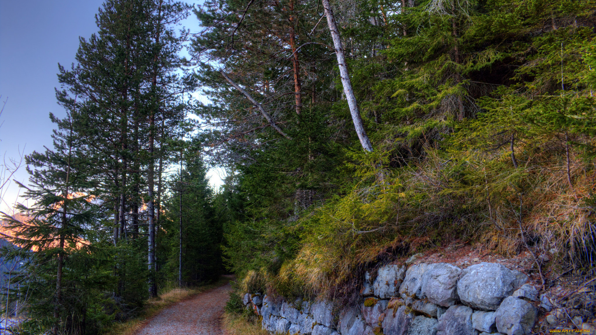 природа, дороги, тракт