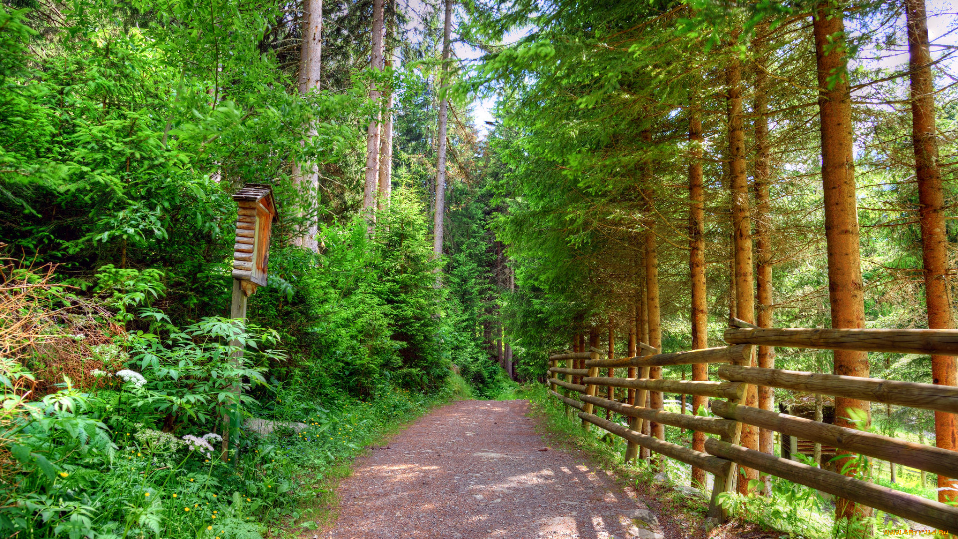 природа, дороги, тракт