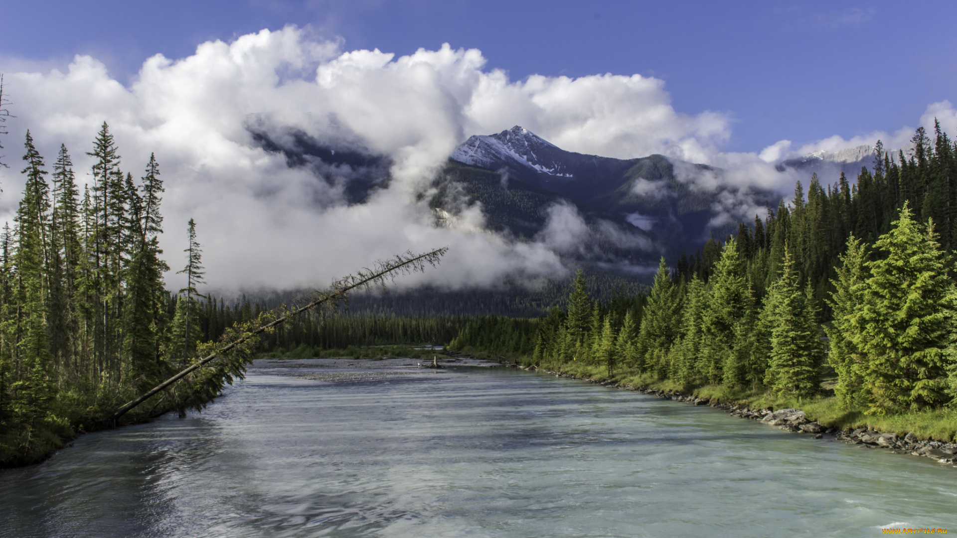 природа, реки, озера, лес, река