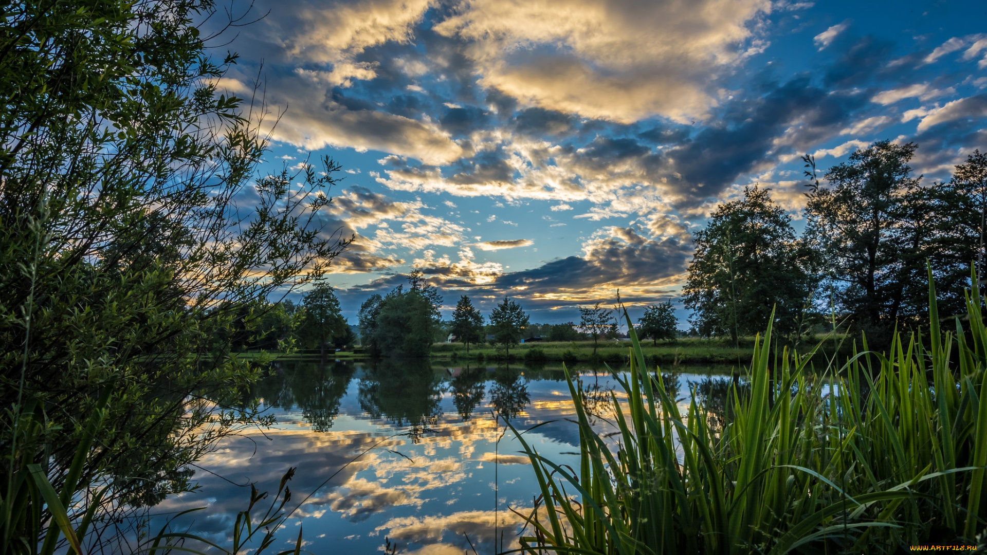 природа, реки, озера, лес, река