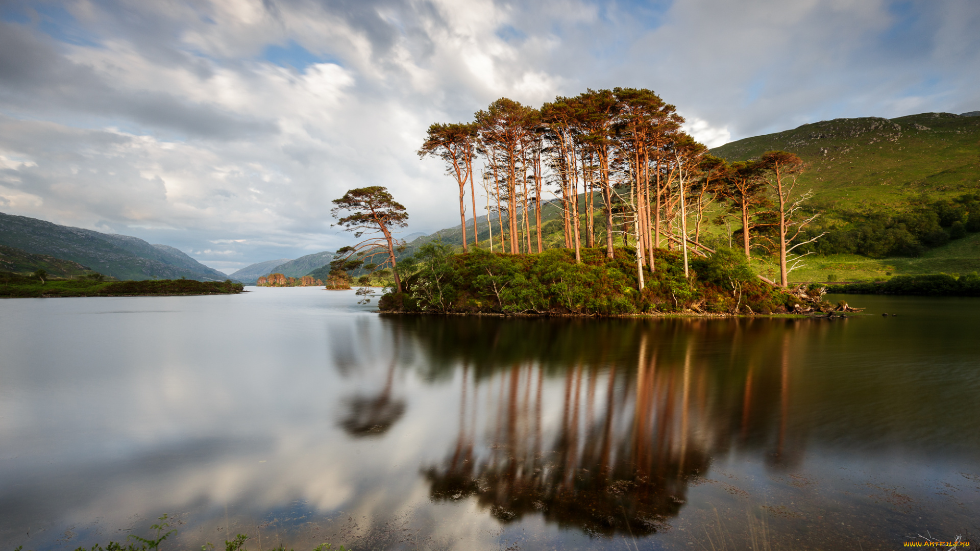 природа, реки, озера, лес, река