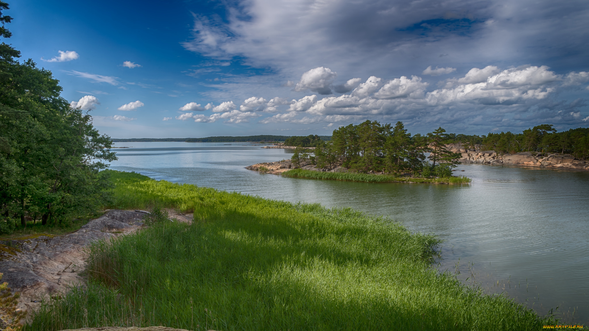 природа, реки, озера, лес, река