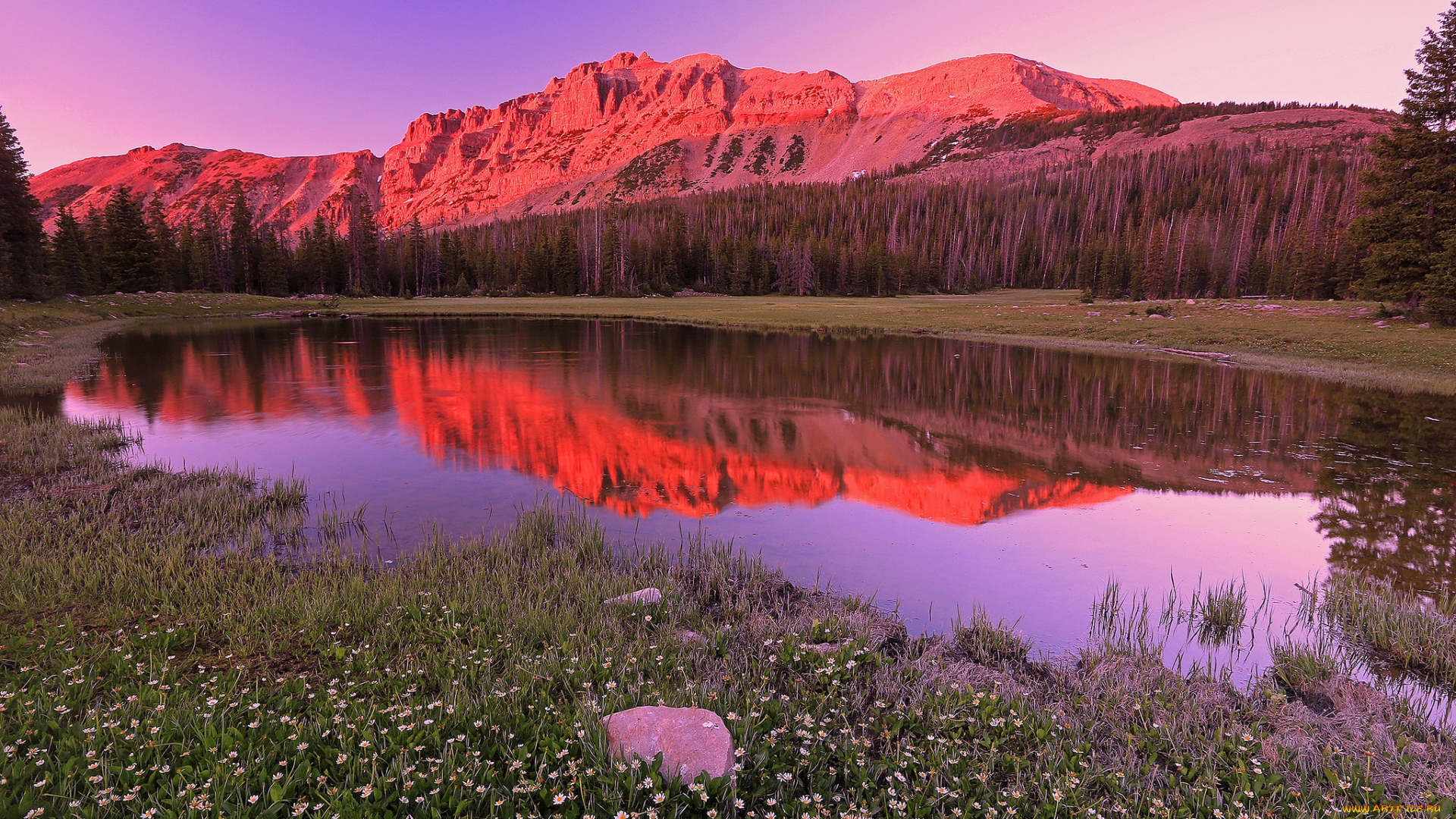 природа, реки, озера, лес, река