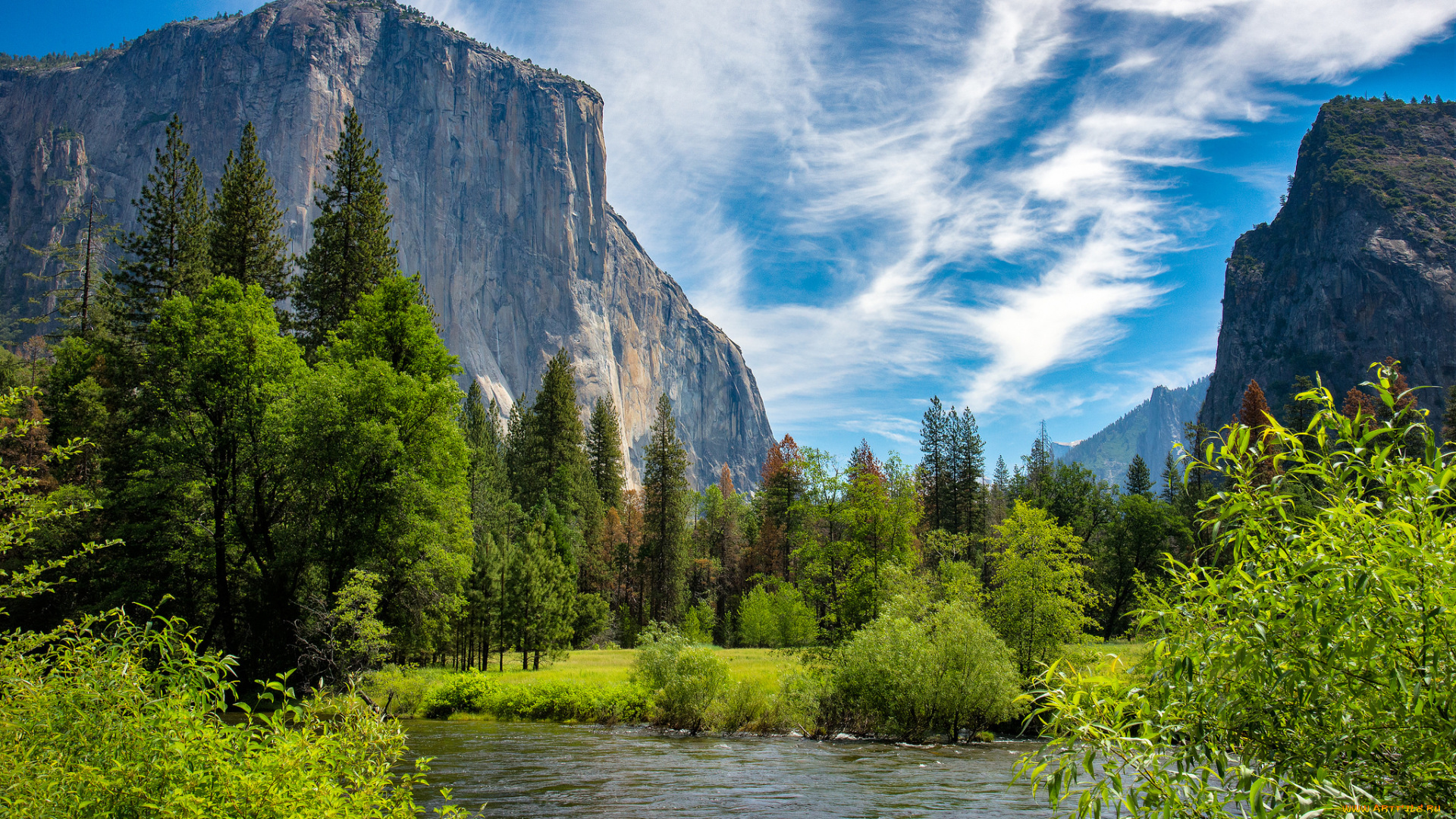 природа, реки, озера, лес, река