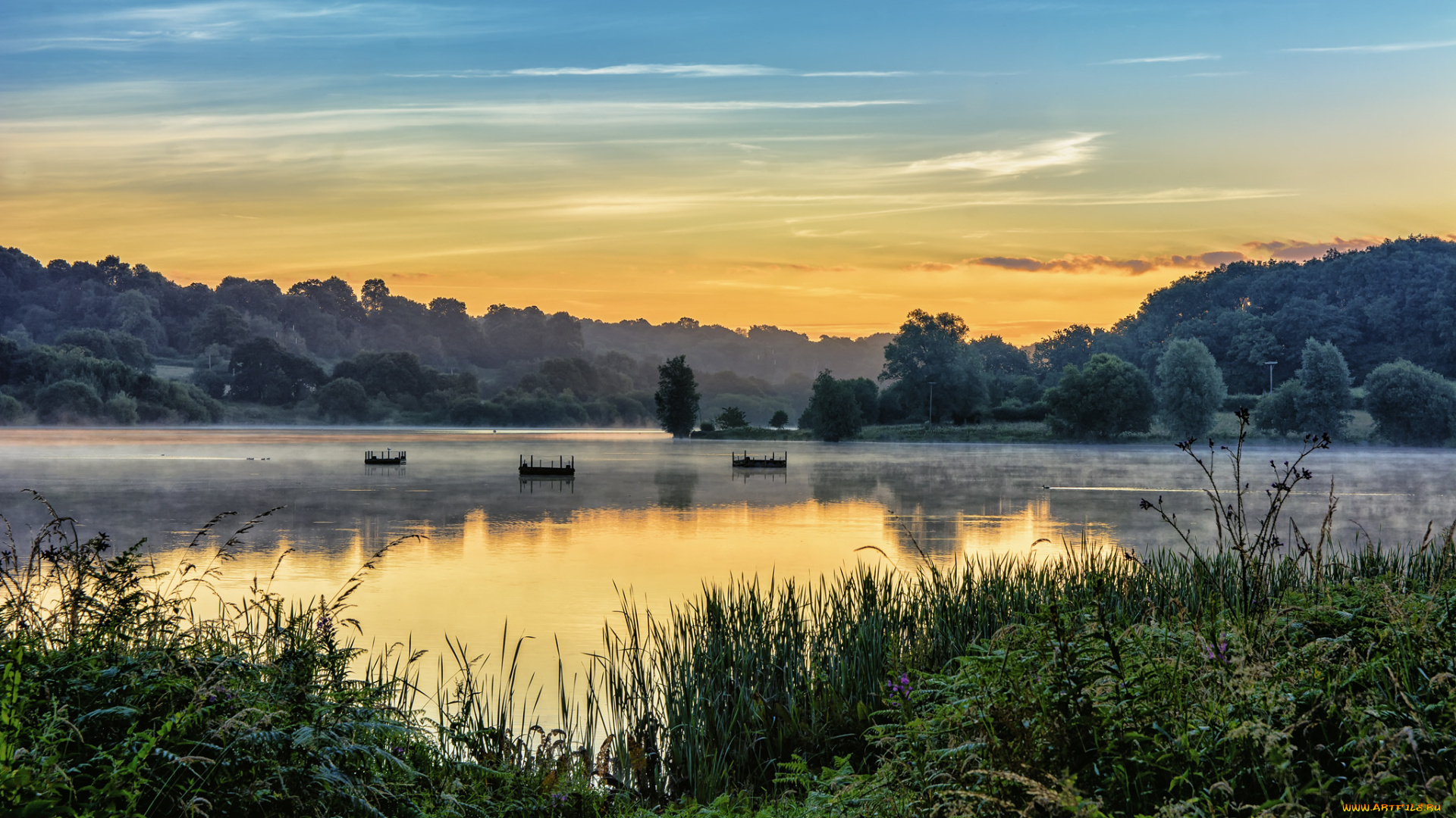 природа, реки, озера, лес, река