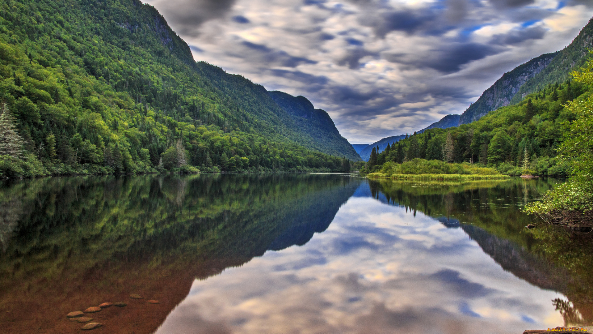 природа, реки, озера, лес, река