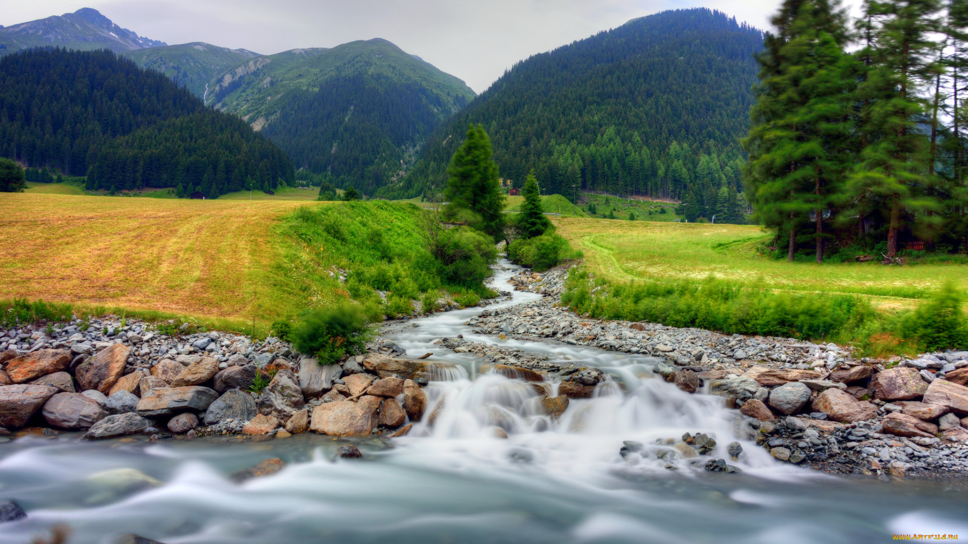 природа, реки, озера, лес, река