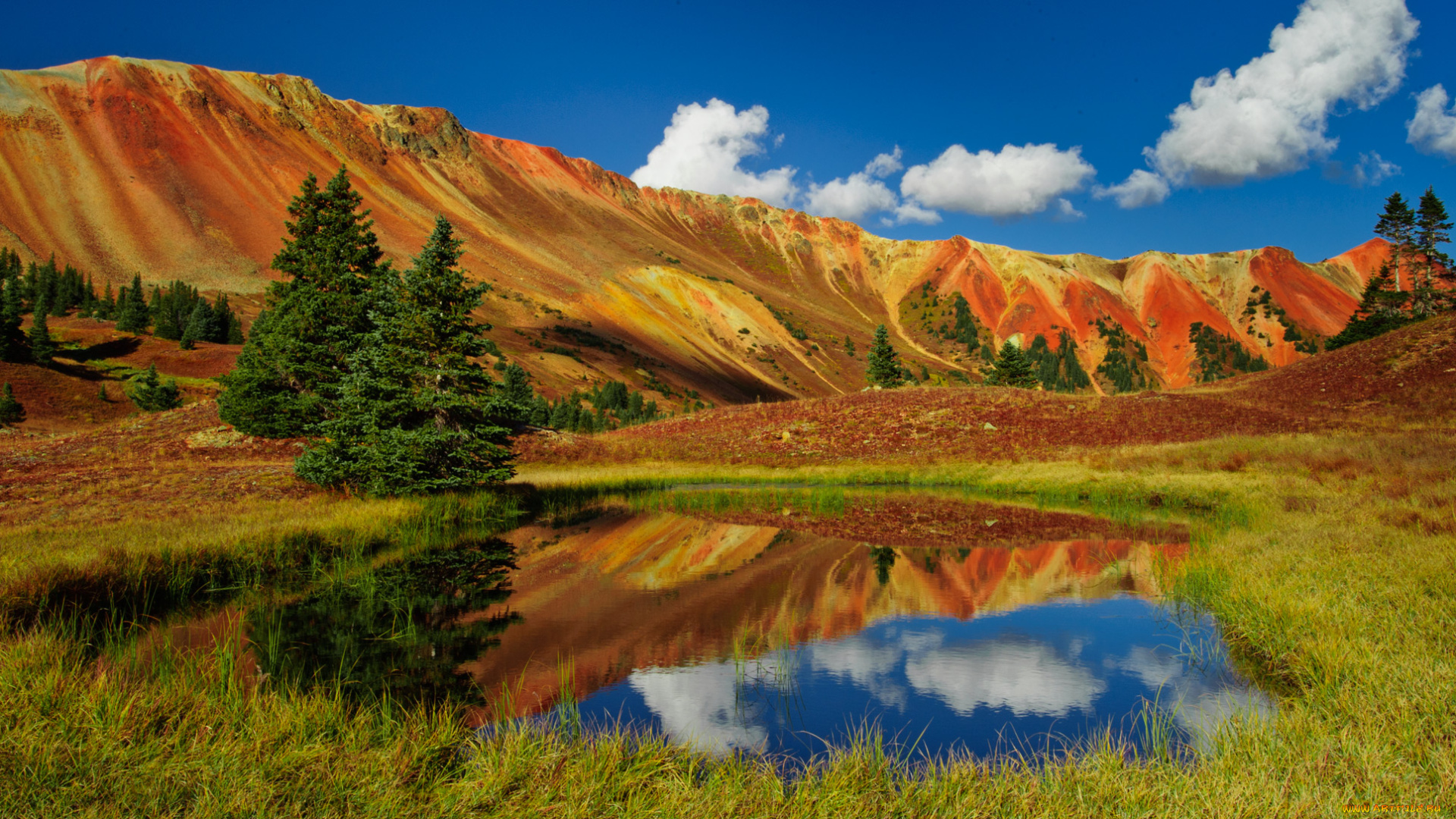 природа, реки, озера, лес, река