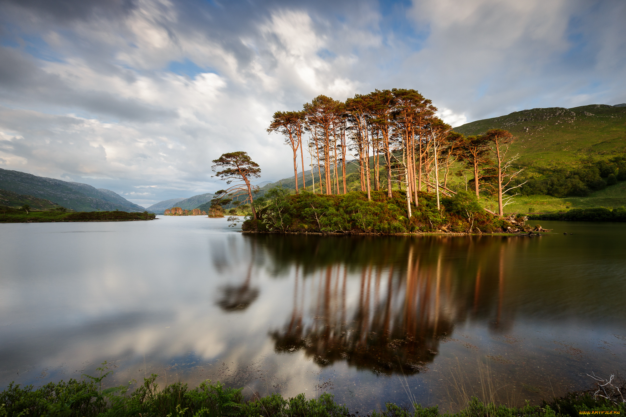 природа, реки, озера, лес, река