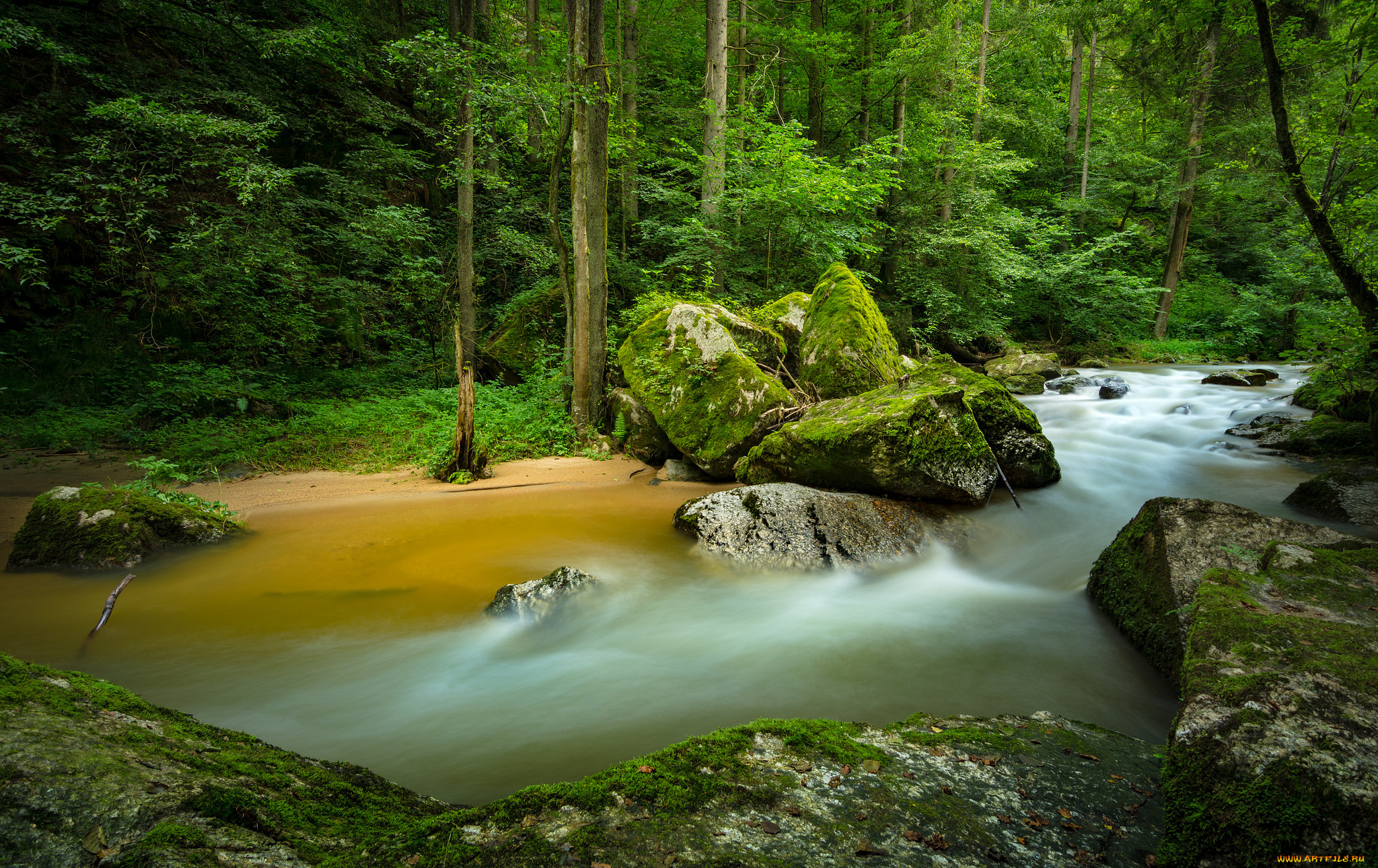 природа, реки, озера, лес, река